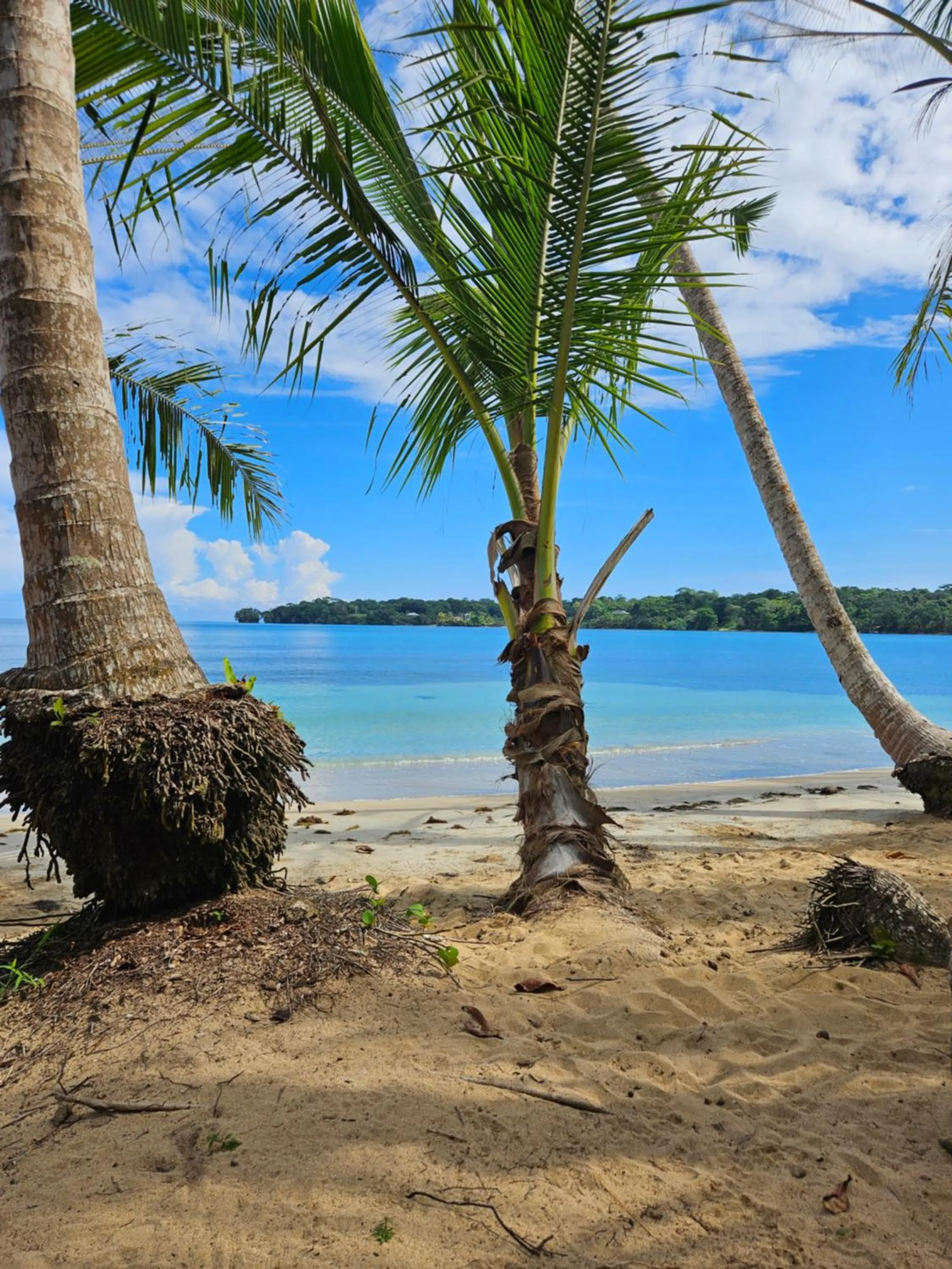 Drago Beach House - Private Beach