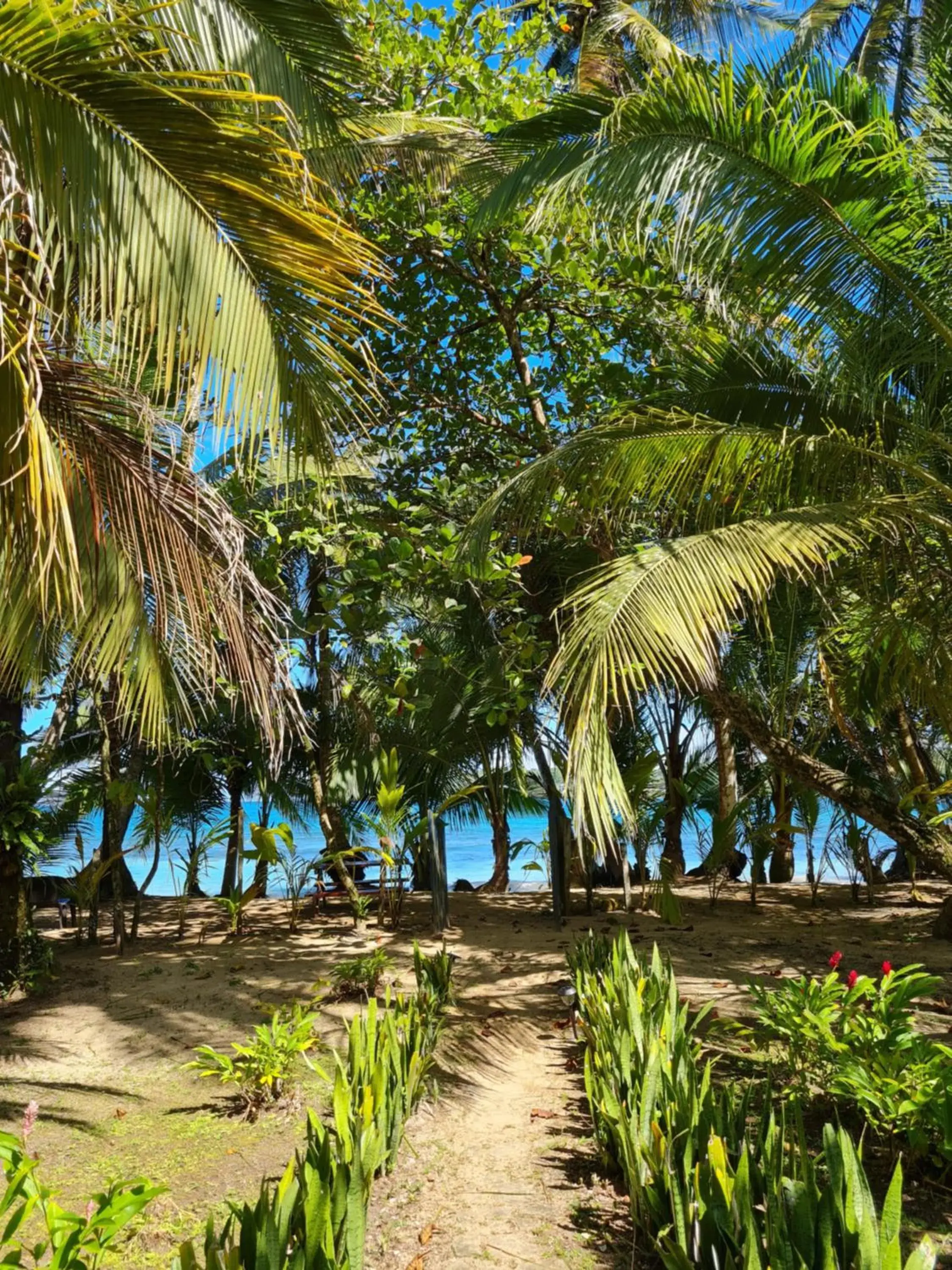 Drago Beach House - Private Beach Drago Beach House - Private Beach