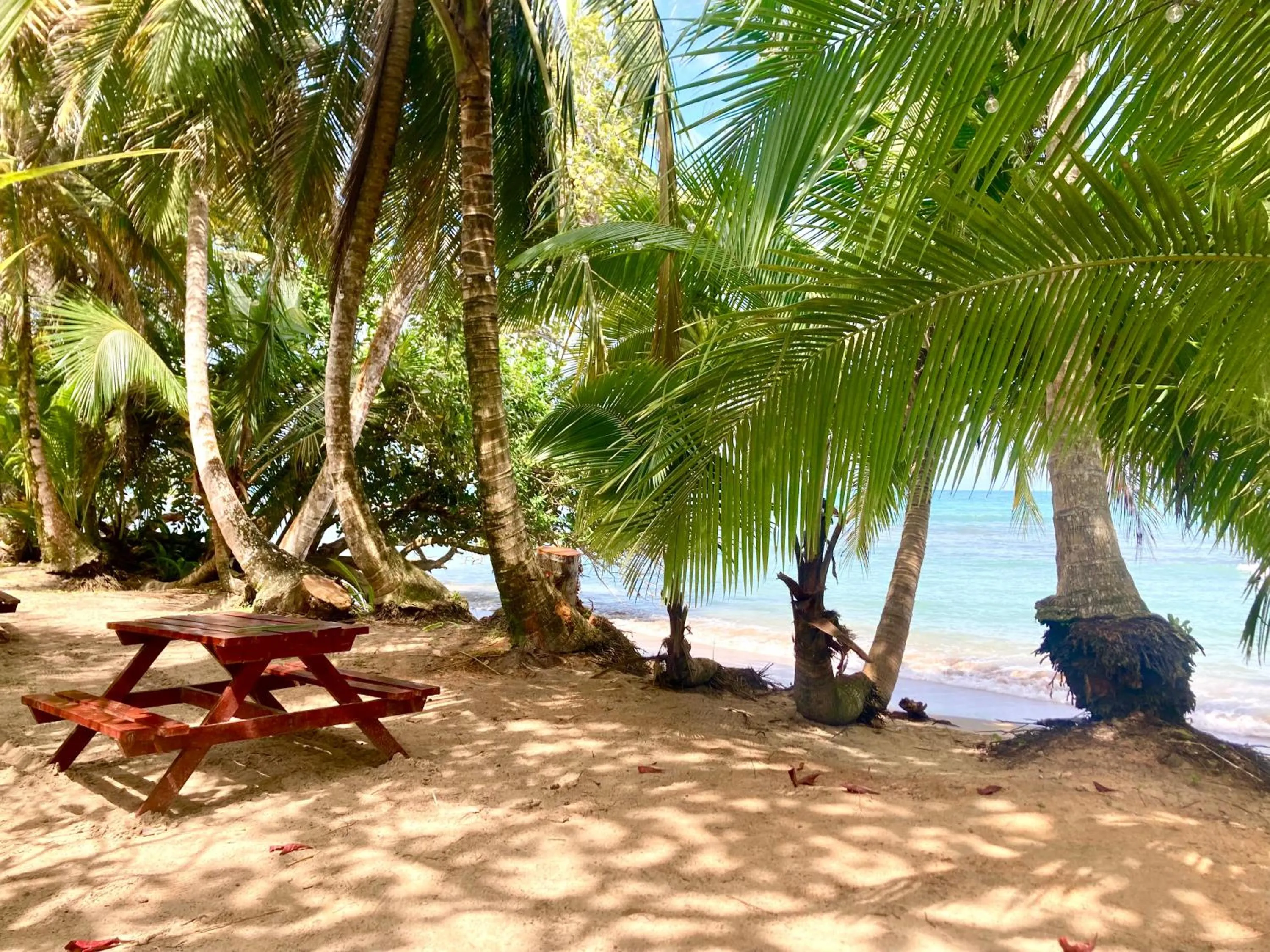 Drago Beach House - Private Beach