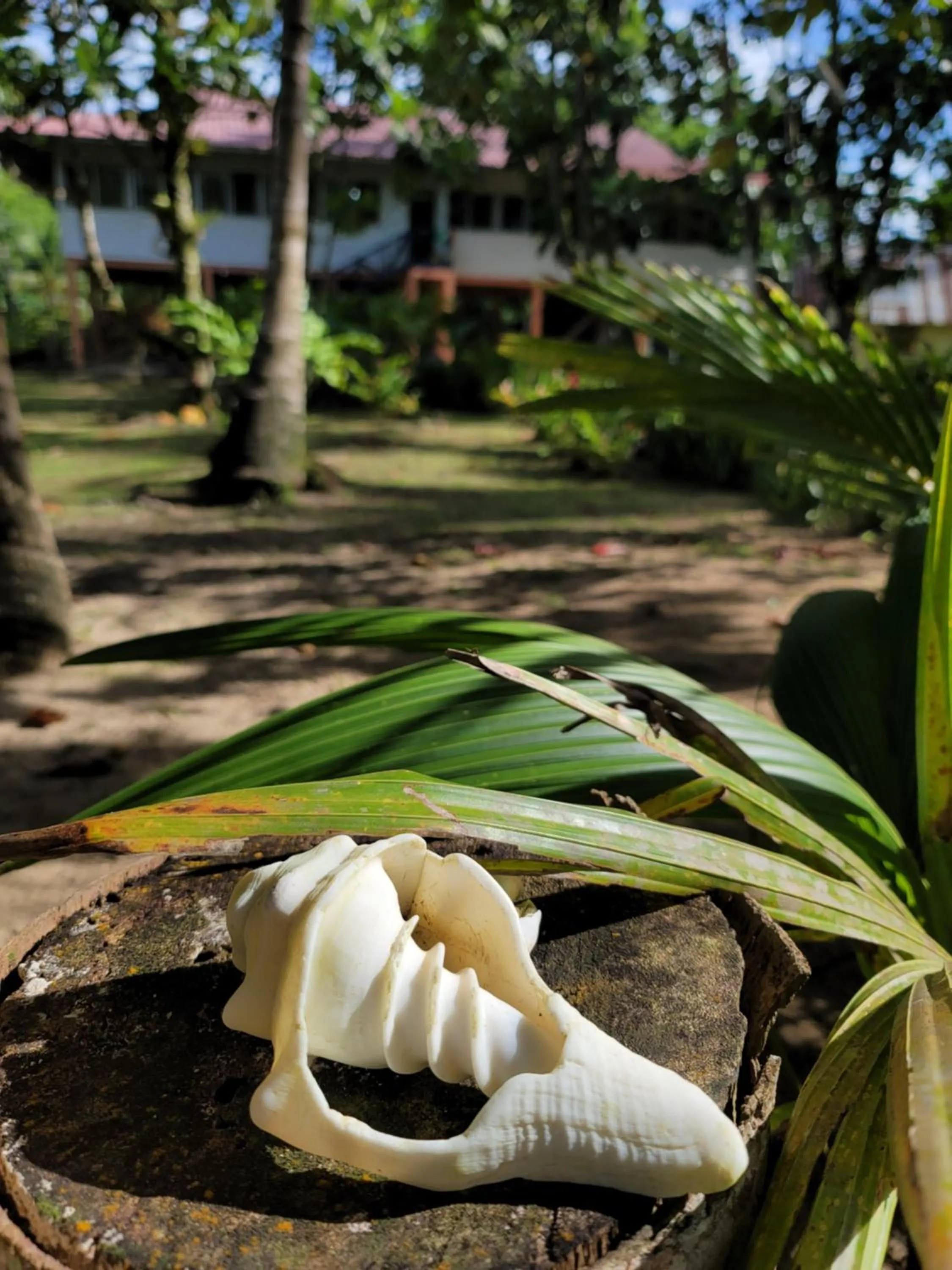 Drago Beach House - Private Beach