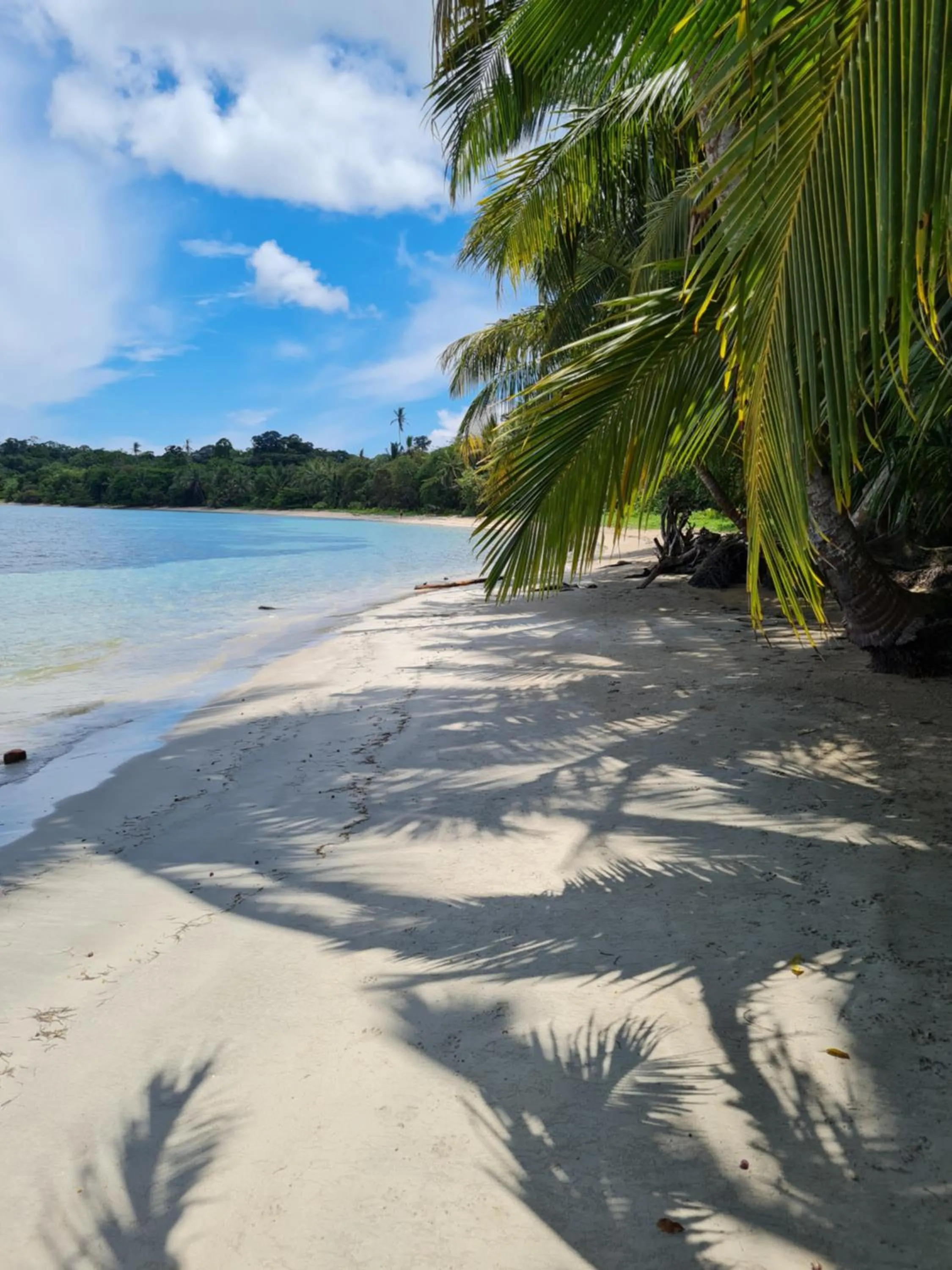 Beach in Drago Beach House - Private Beach