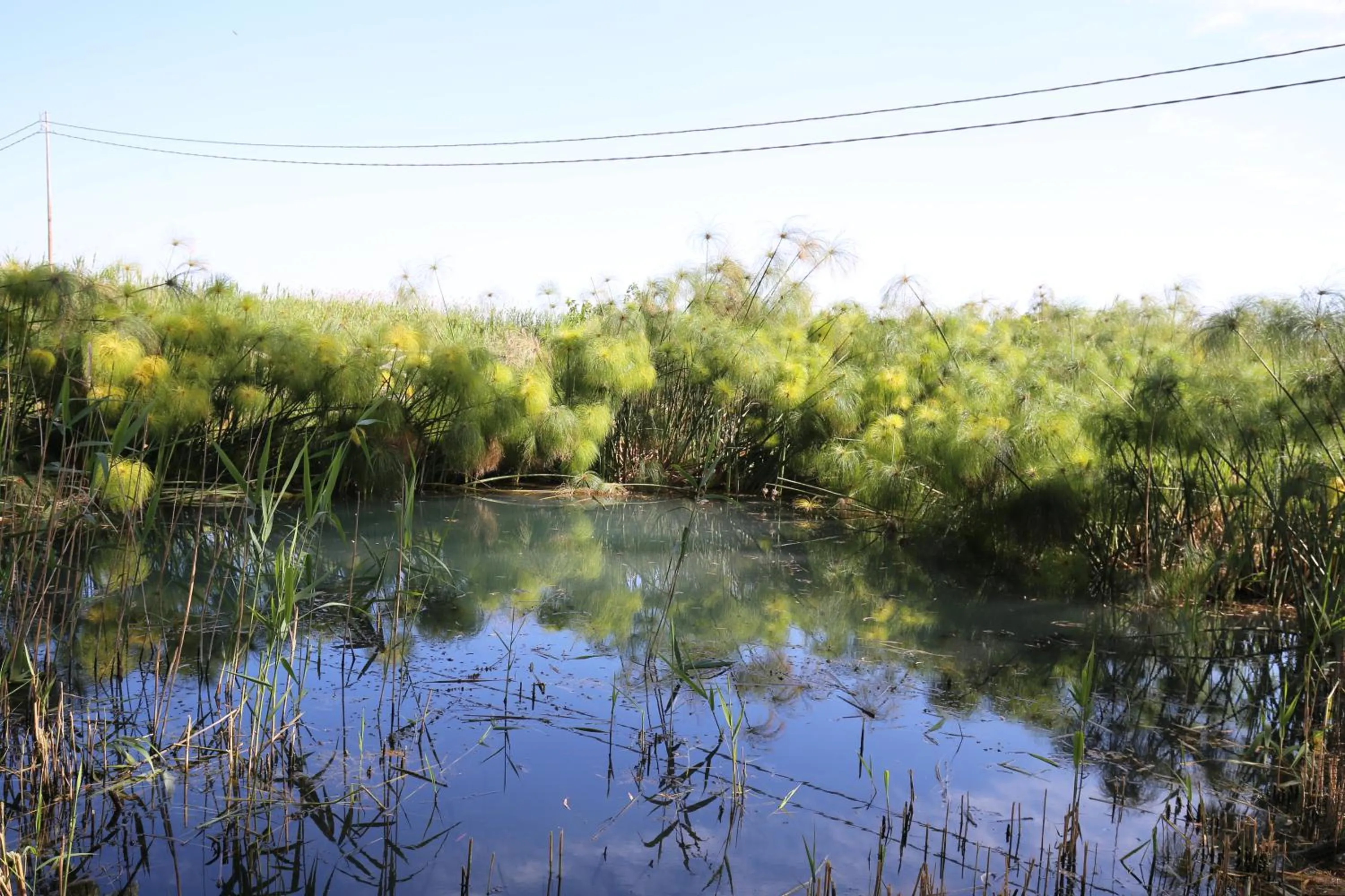 Hiking in Villa Dei Papiri Fonte Ciane