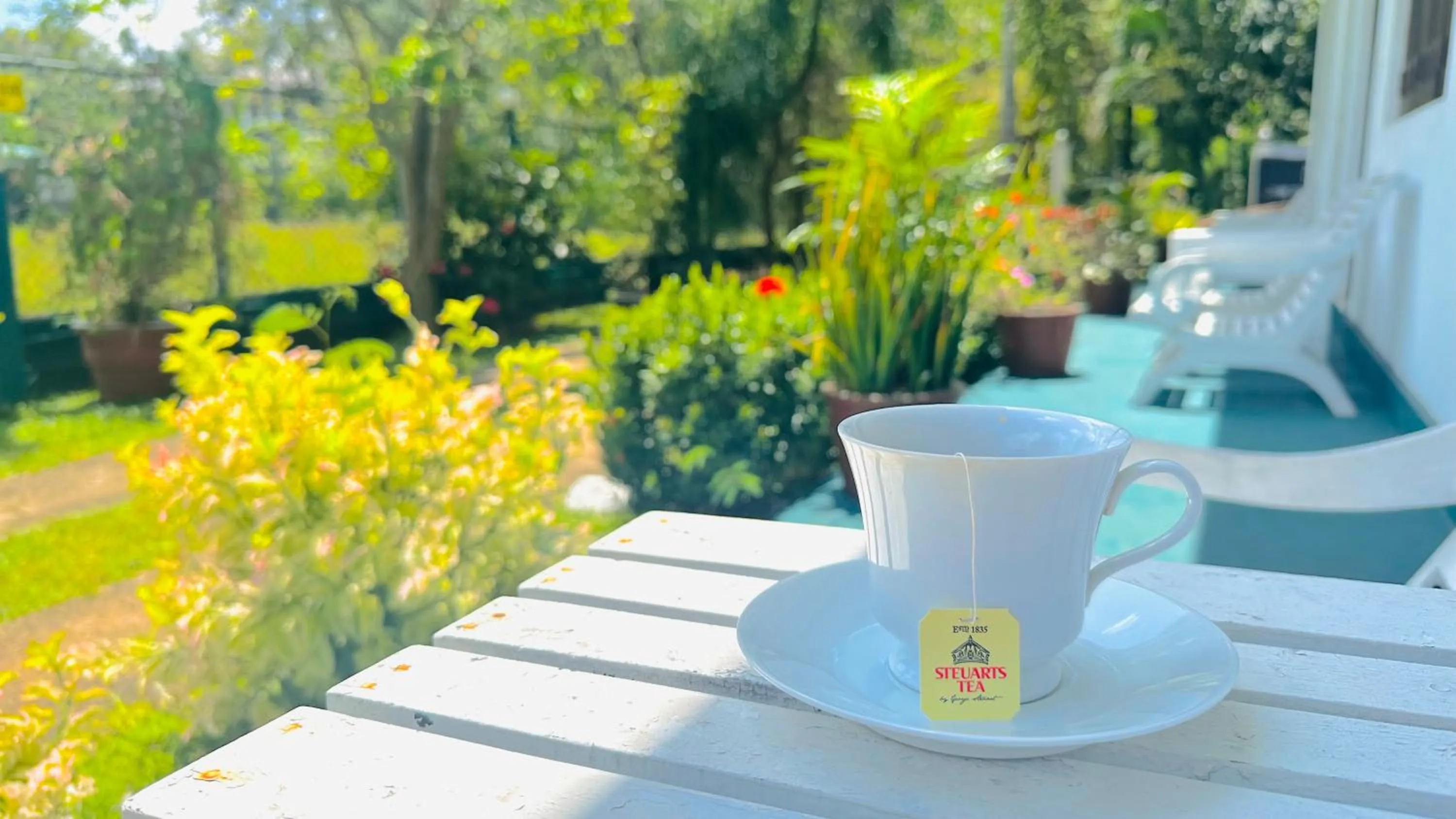 Garden in New Peacock Resort