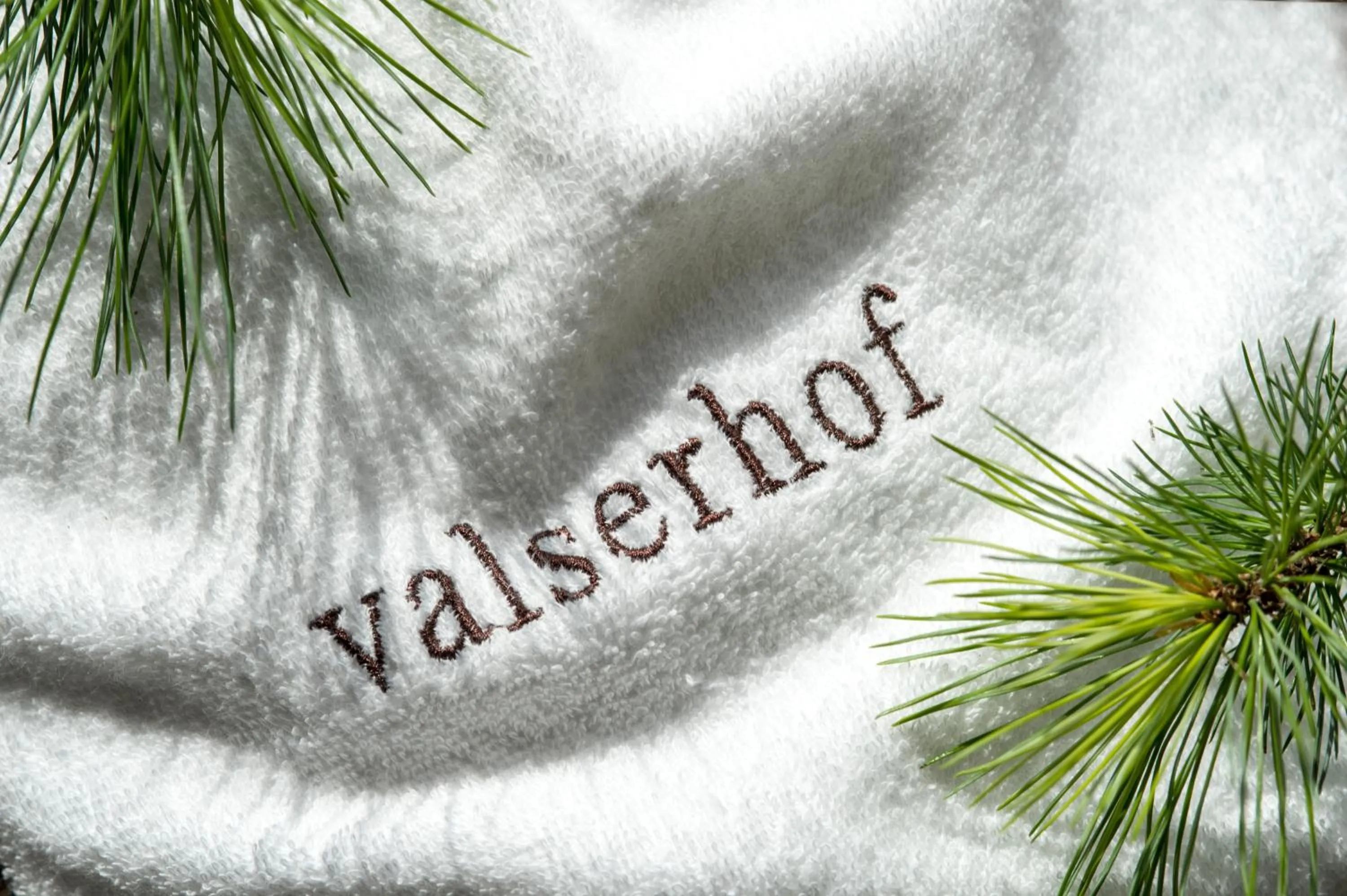 Logo/Certificate/Sign in Hotel Valserhof