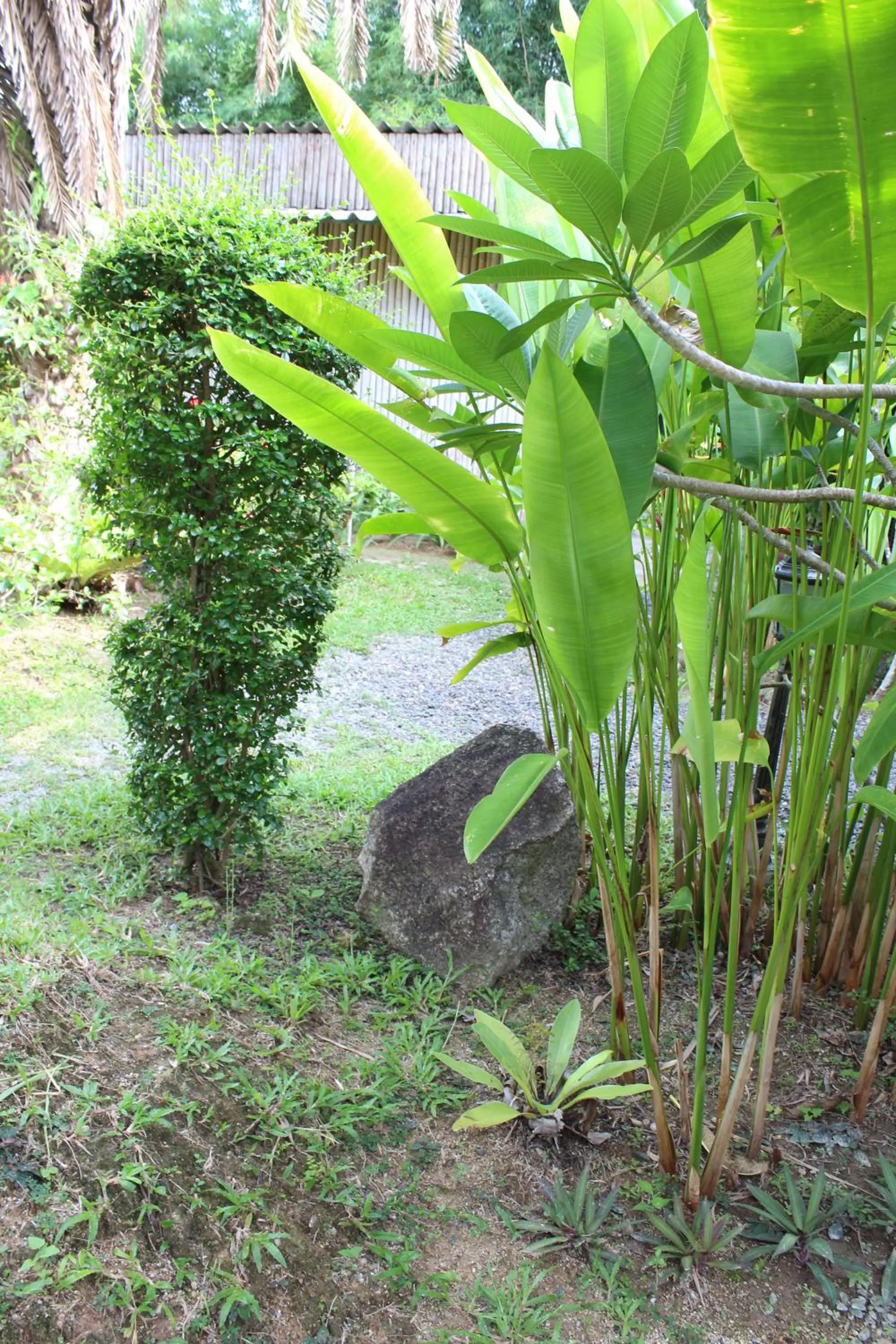 Garden in B Happy Resort - SHA ExtraPlus