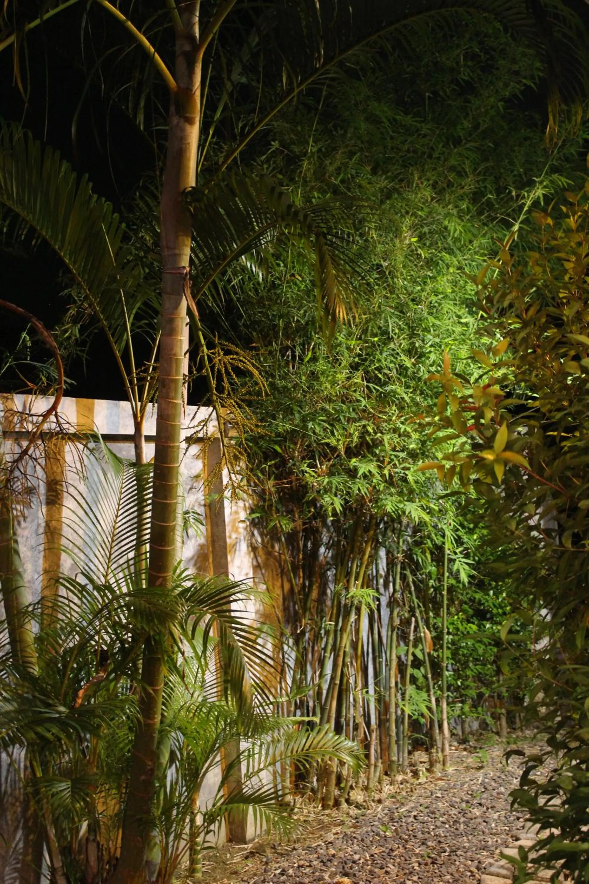 Garden in B Happy Resort - SHA ExtraPlus