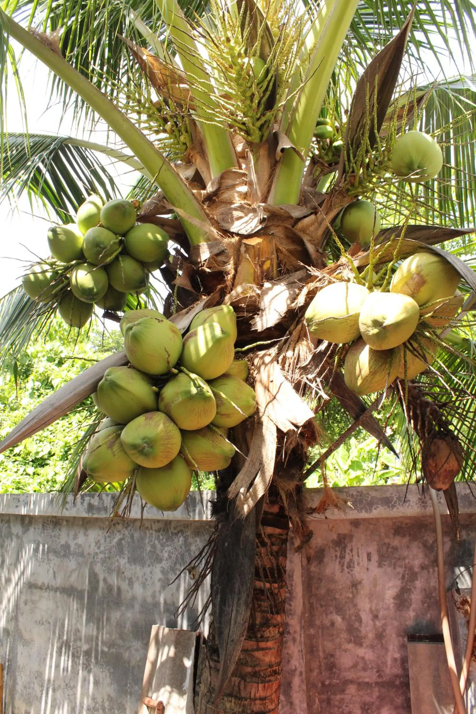 Garden in B Happy Resort - SHA ExtraPlus