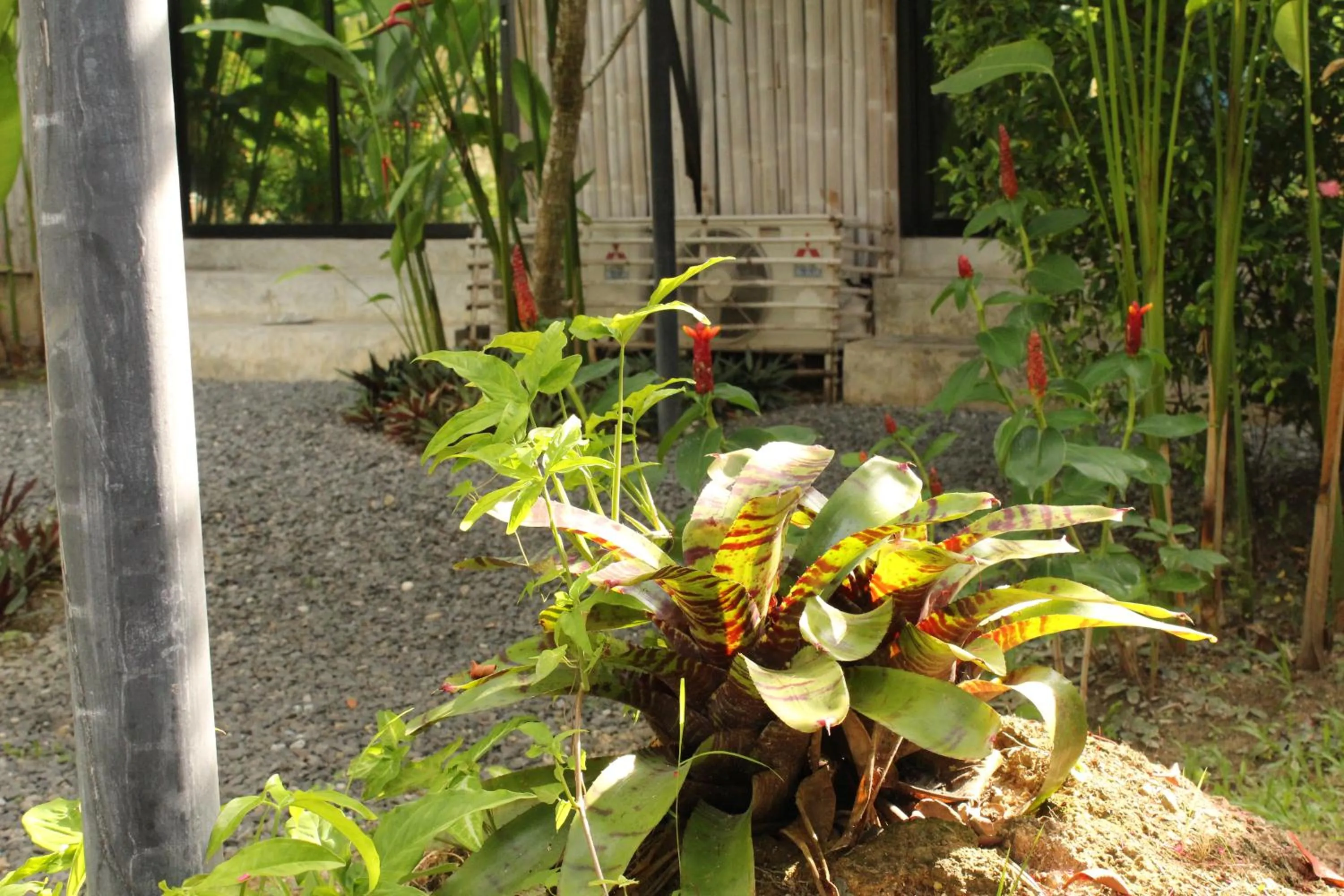 Garden view in B Happy Resort - SHA ExtraPlus