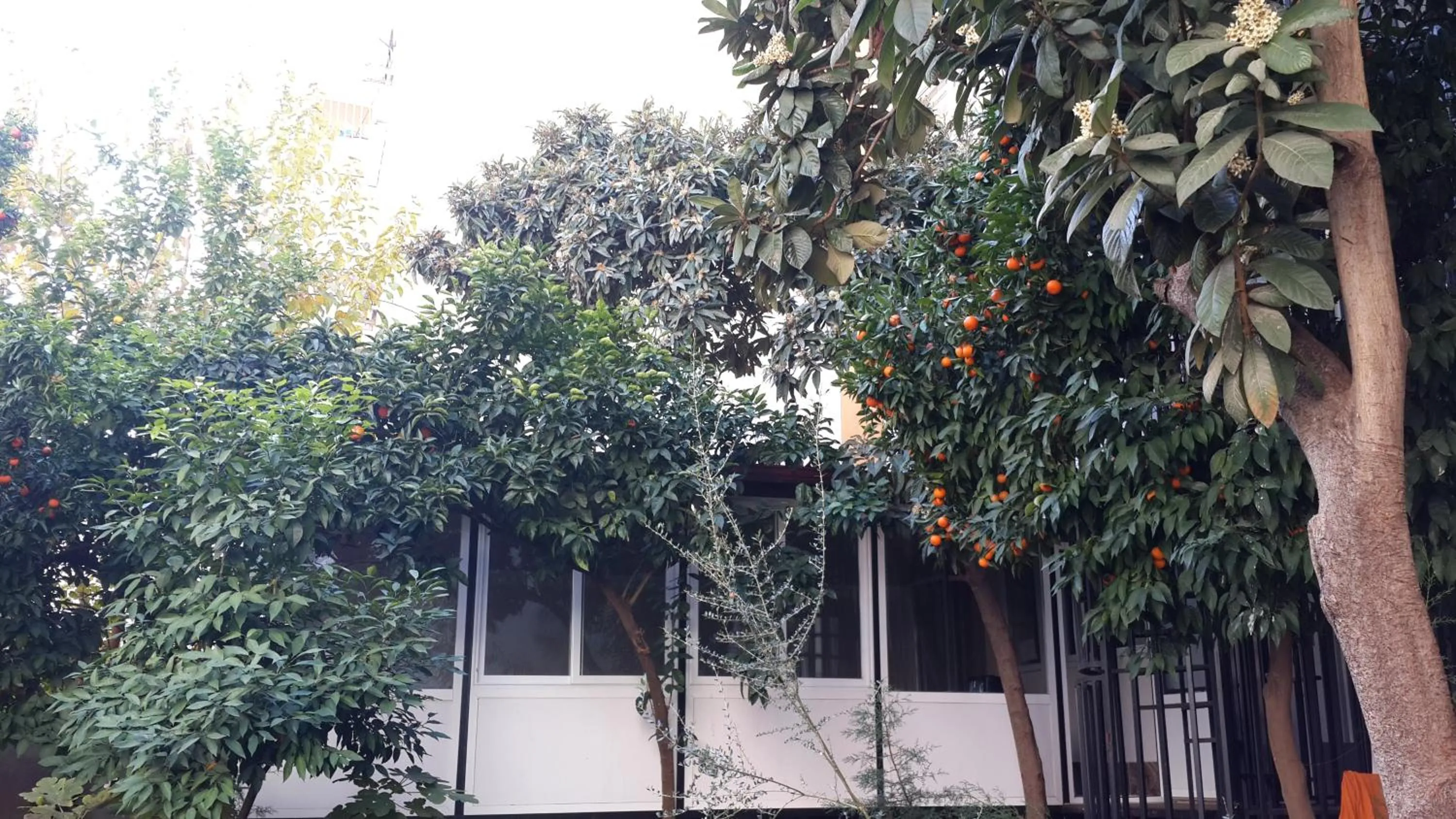 Garden in Uyar Palace