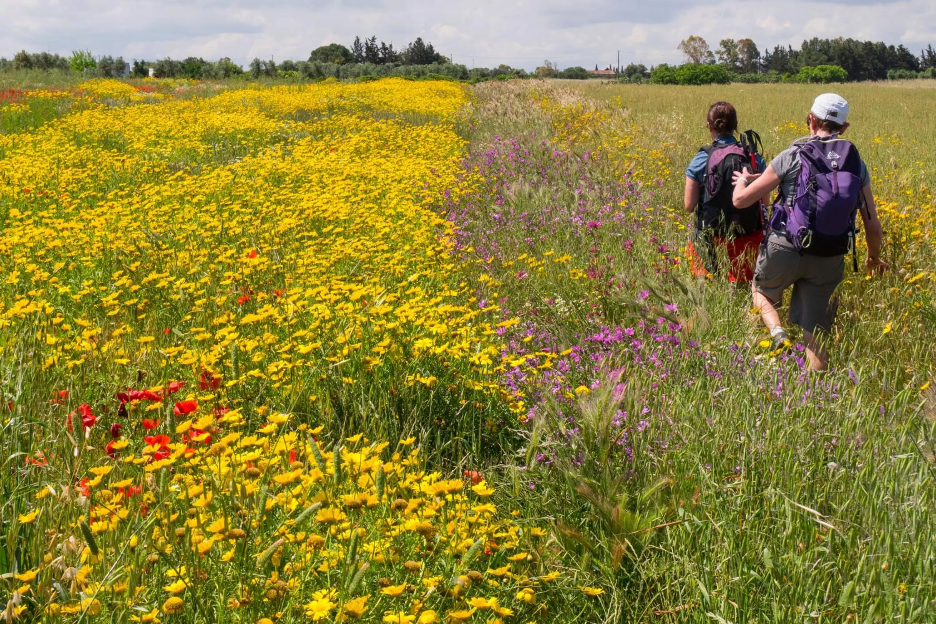 Hiking in Palazzo Ducale Venturi - Luxury Hotel & Wellness