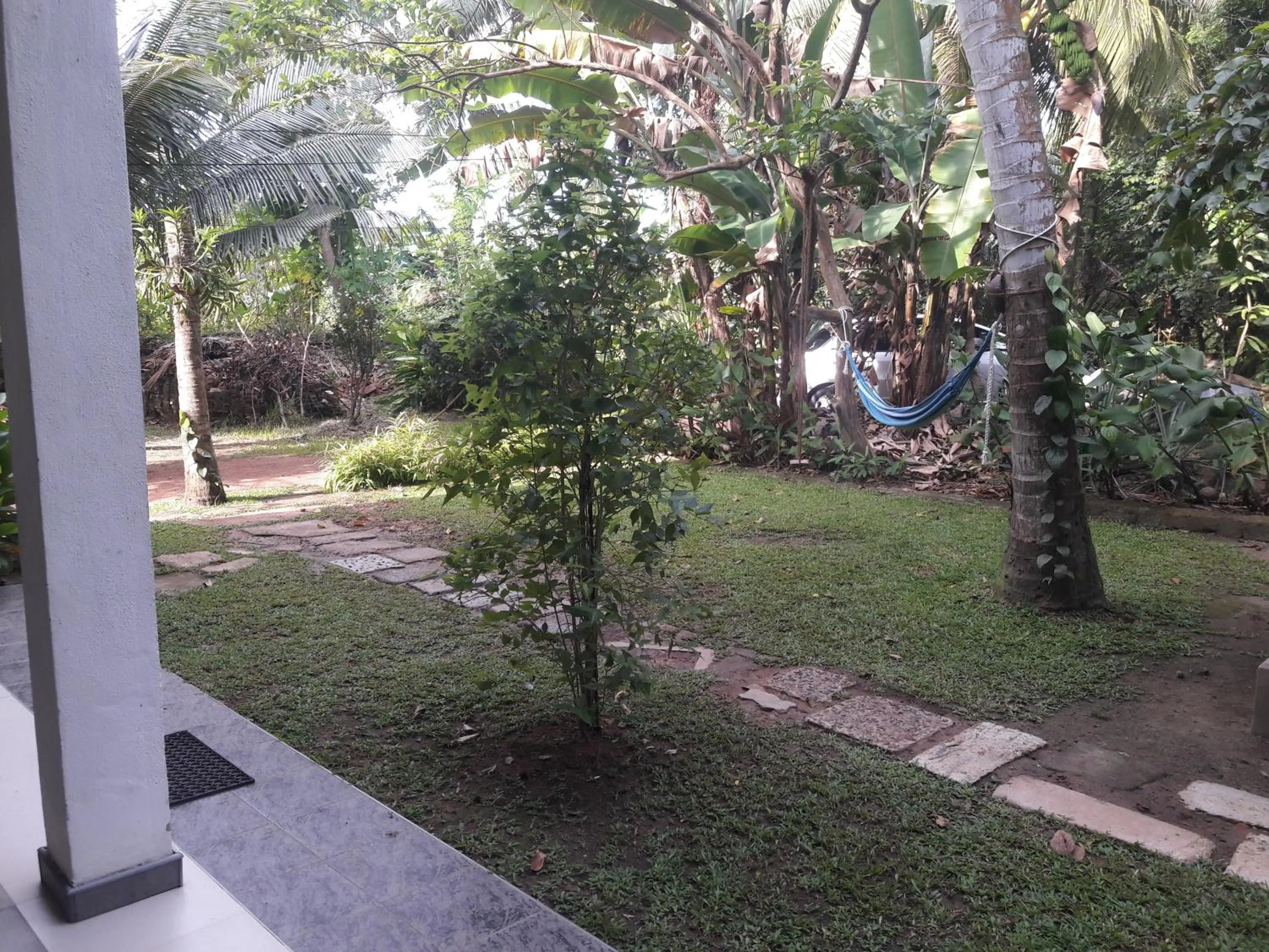 Garden in Rooms 154/14