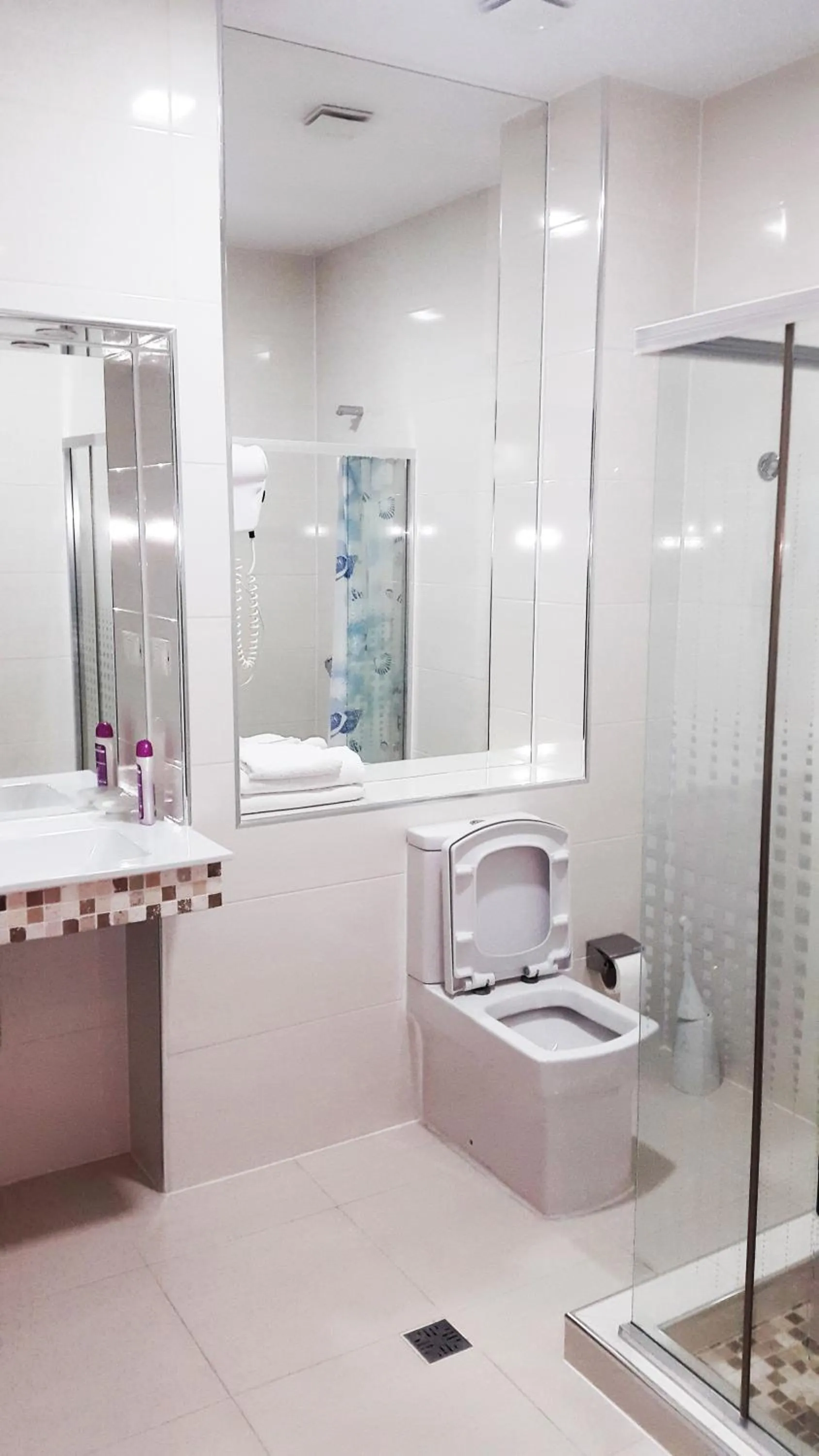 Bathroom in Hotel Alpet