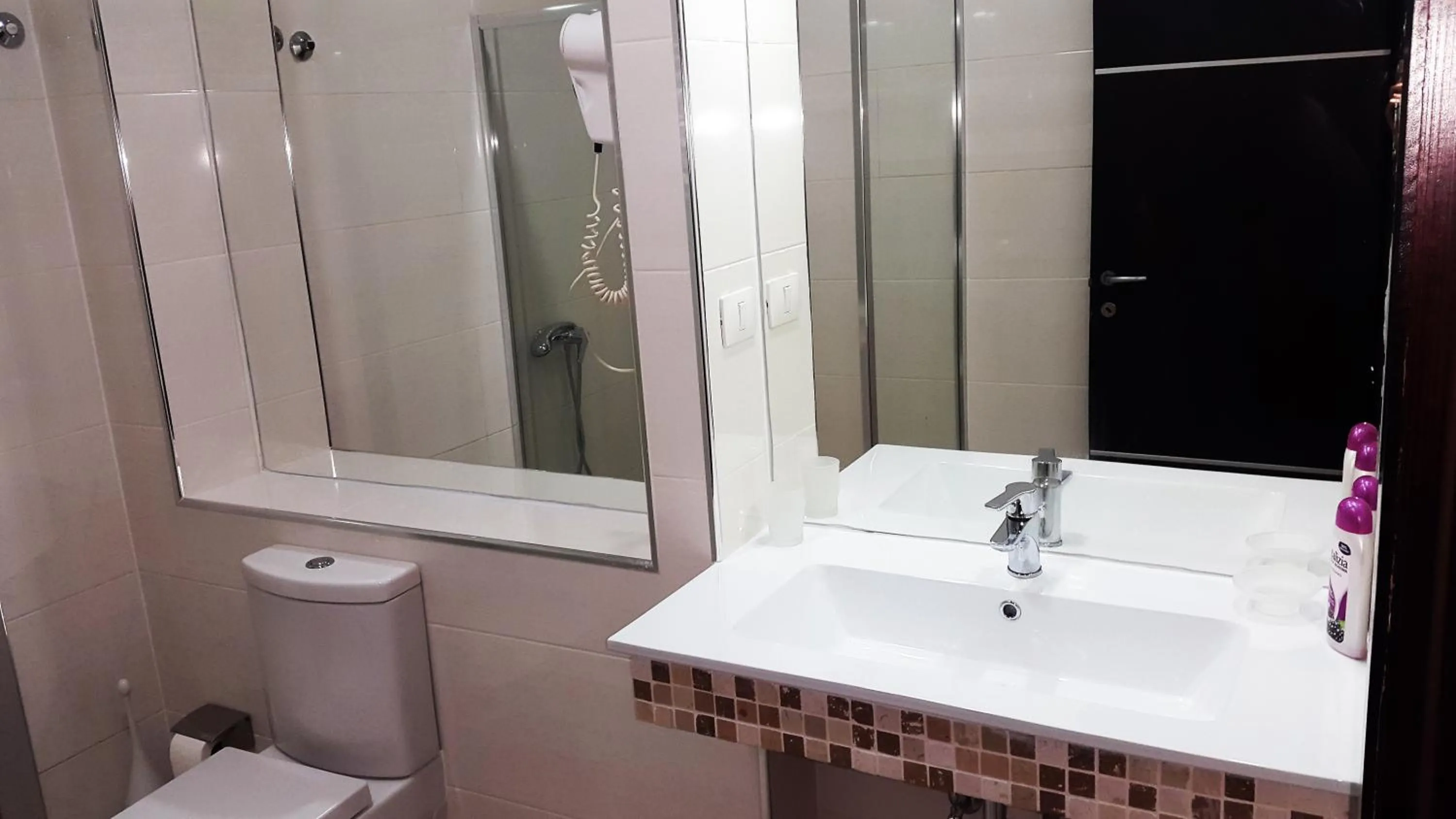 Bathroom in Hotel Alpet