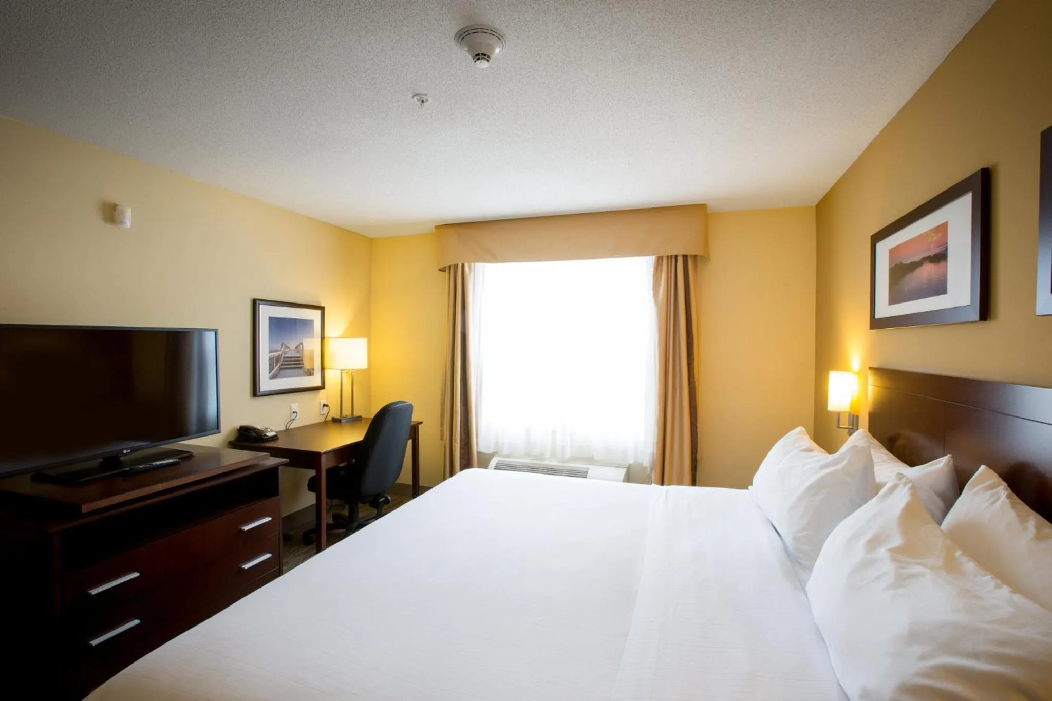 Photo of the whole room, Bed in Holiday Inn Express Stellarton-New Glasgow by IHG