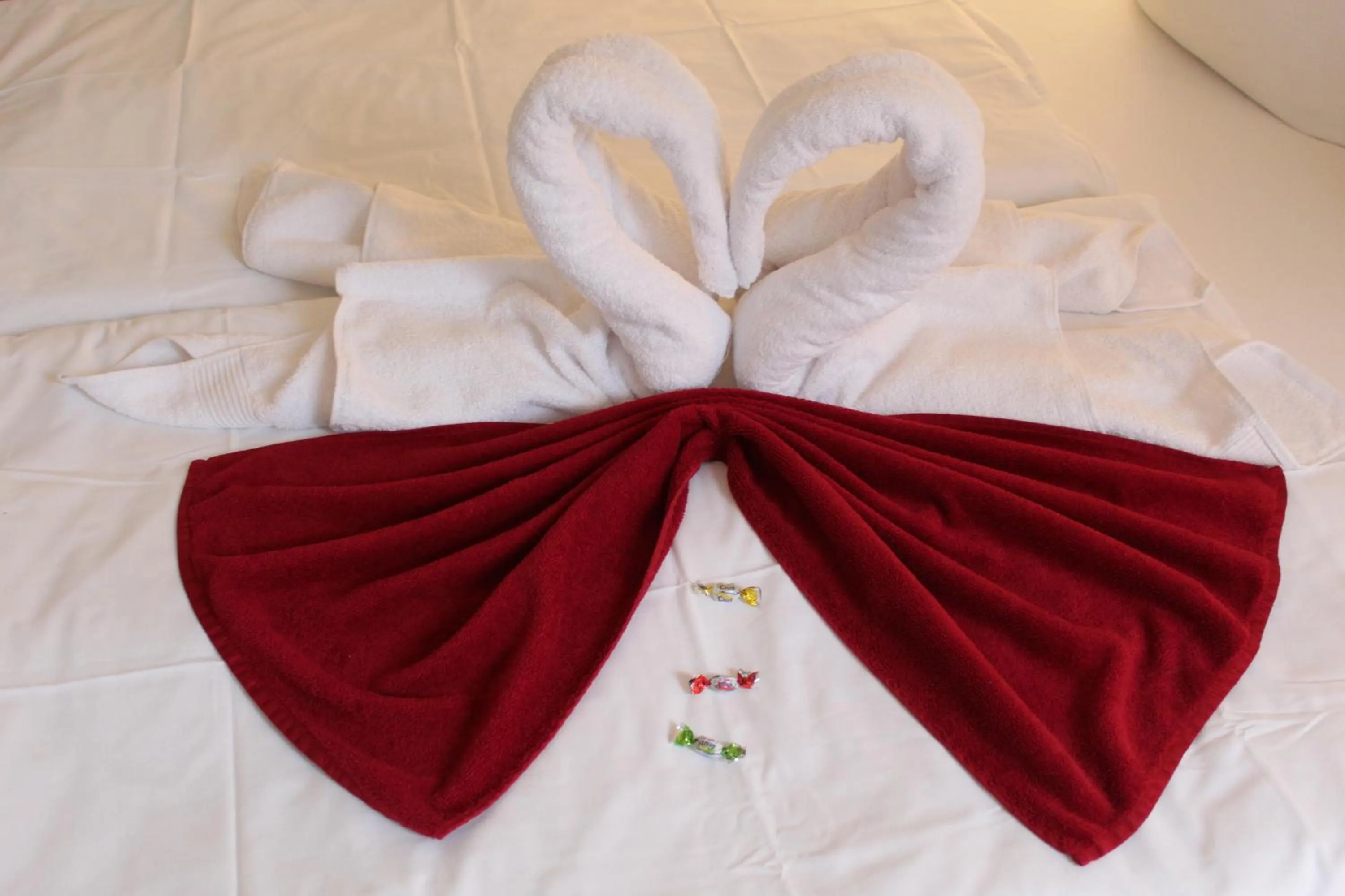 Animals in Hof von Oldenburg