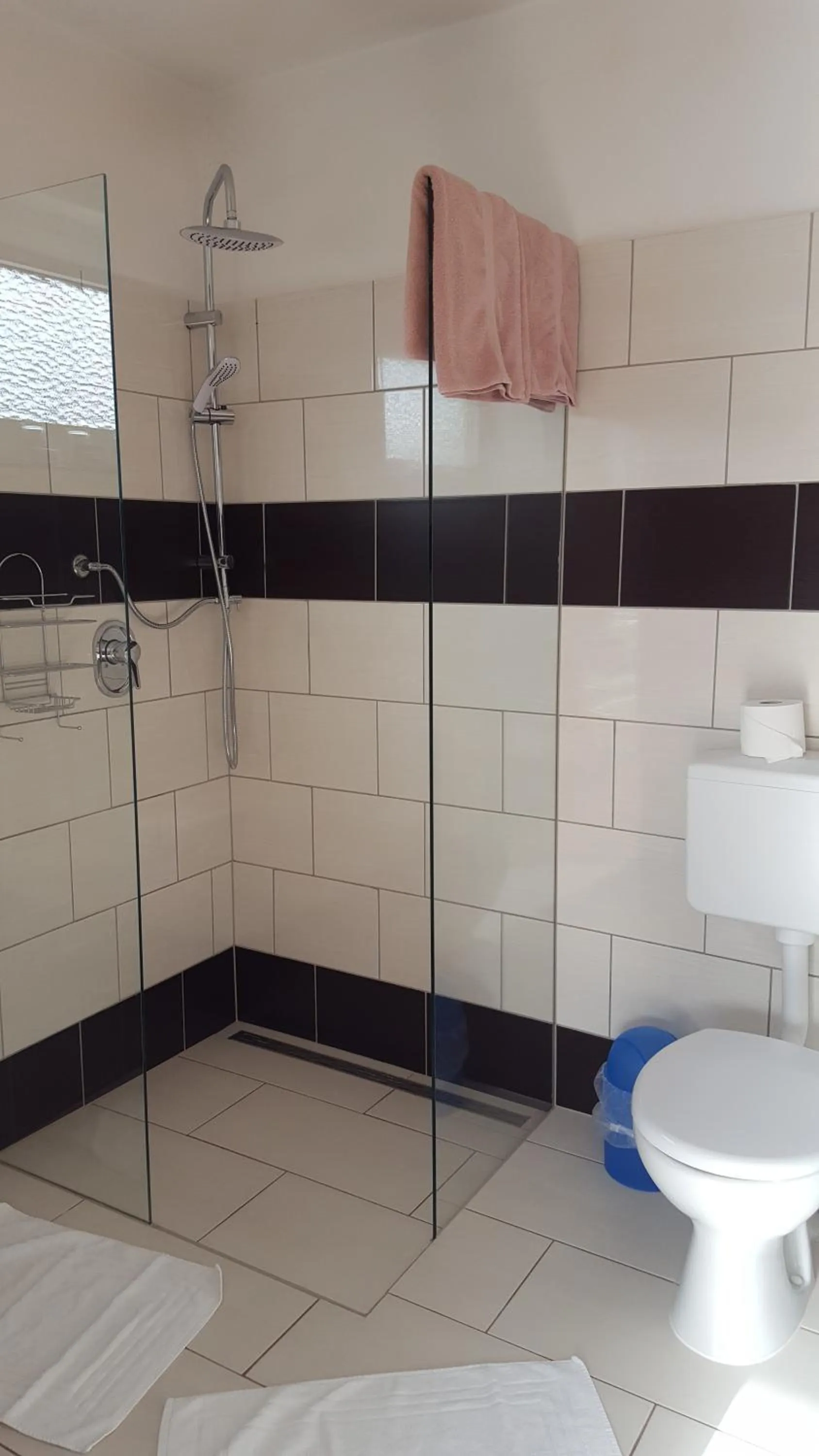 Toilet in Hof von Oldenburg