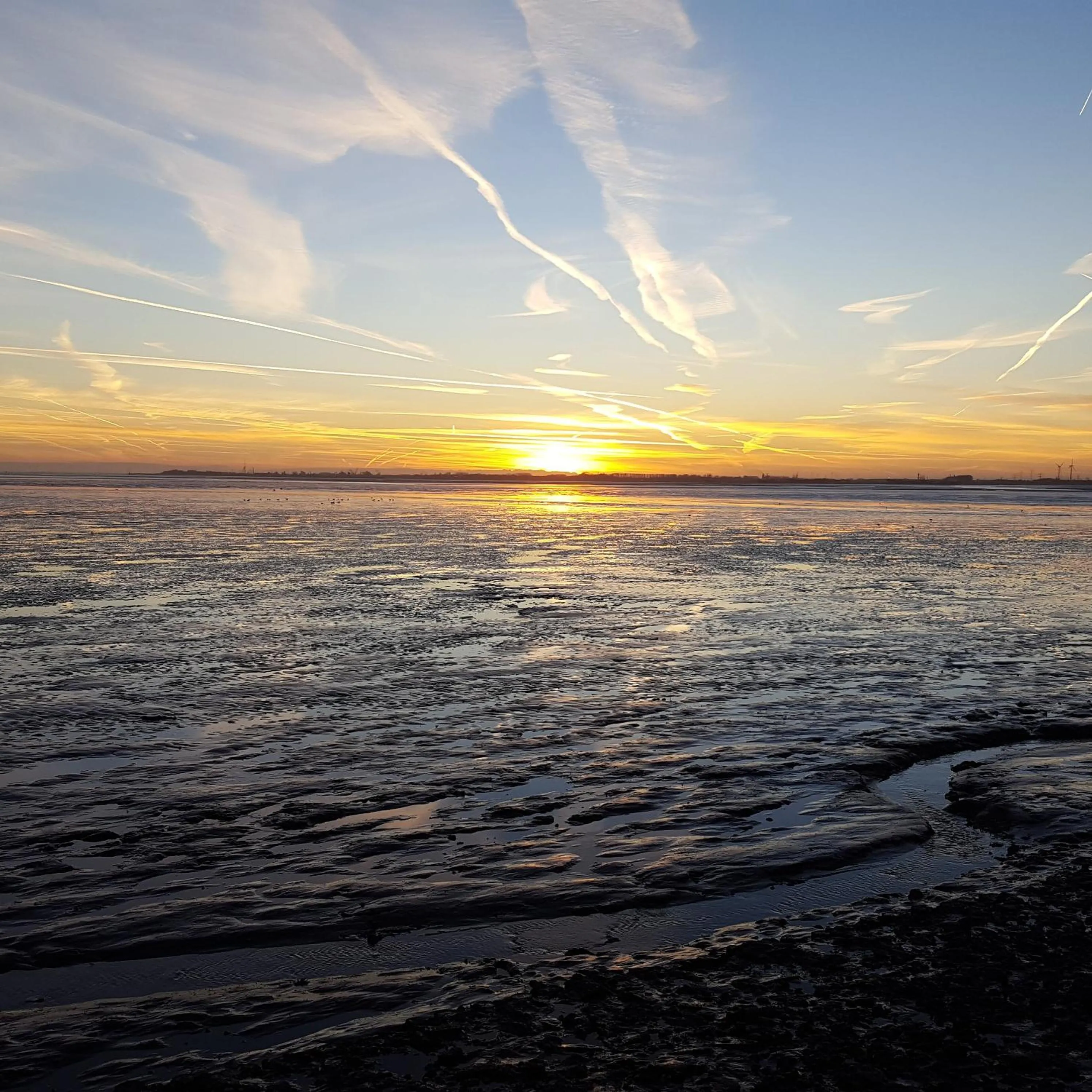 Beach in Hof von Oldenburg