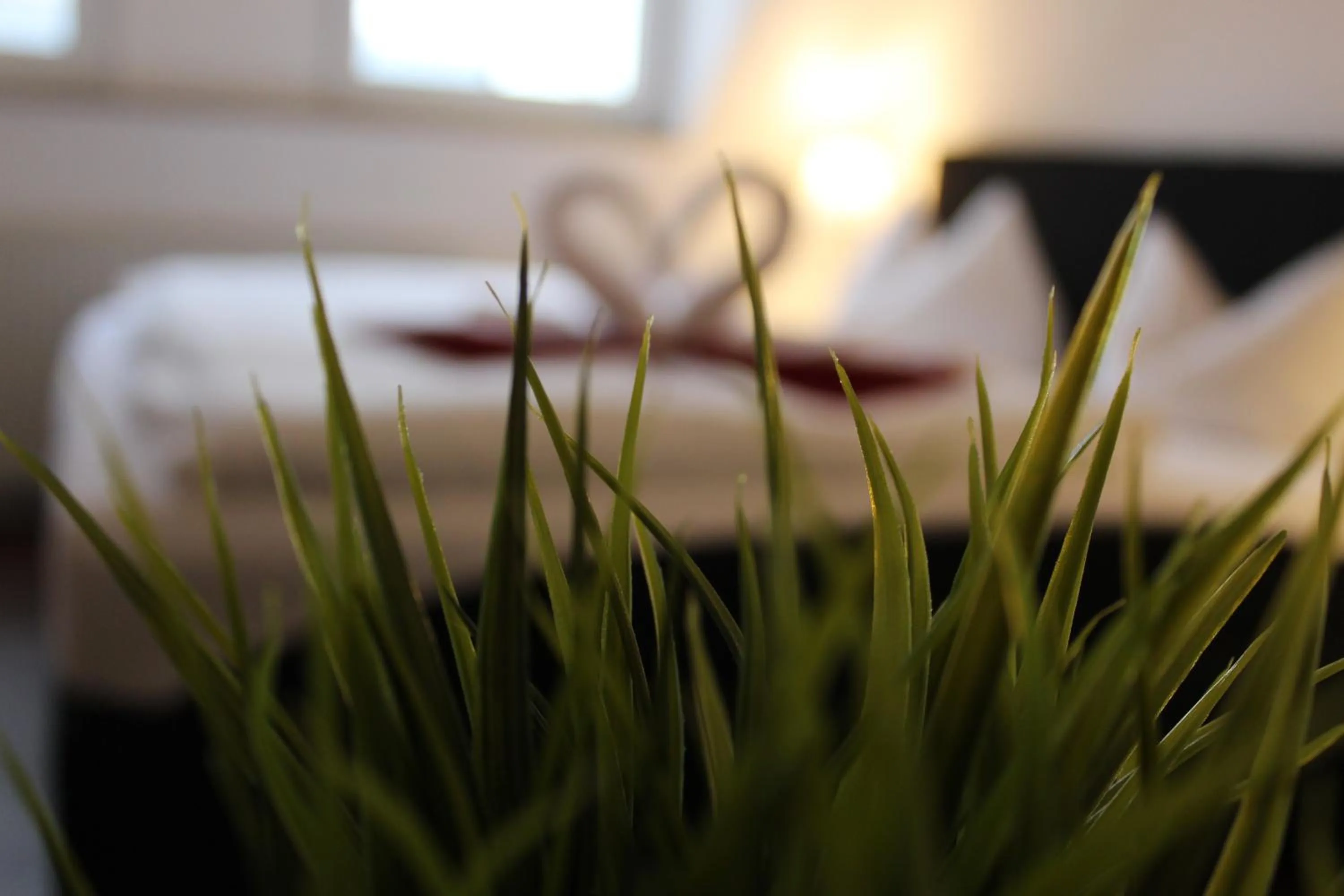 Decorative detail, Bed in Hof von Oldenburg