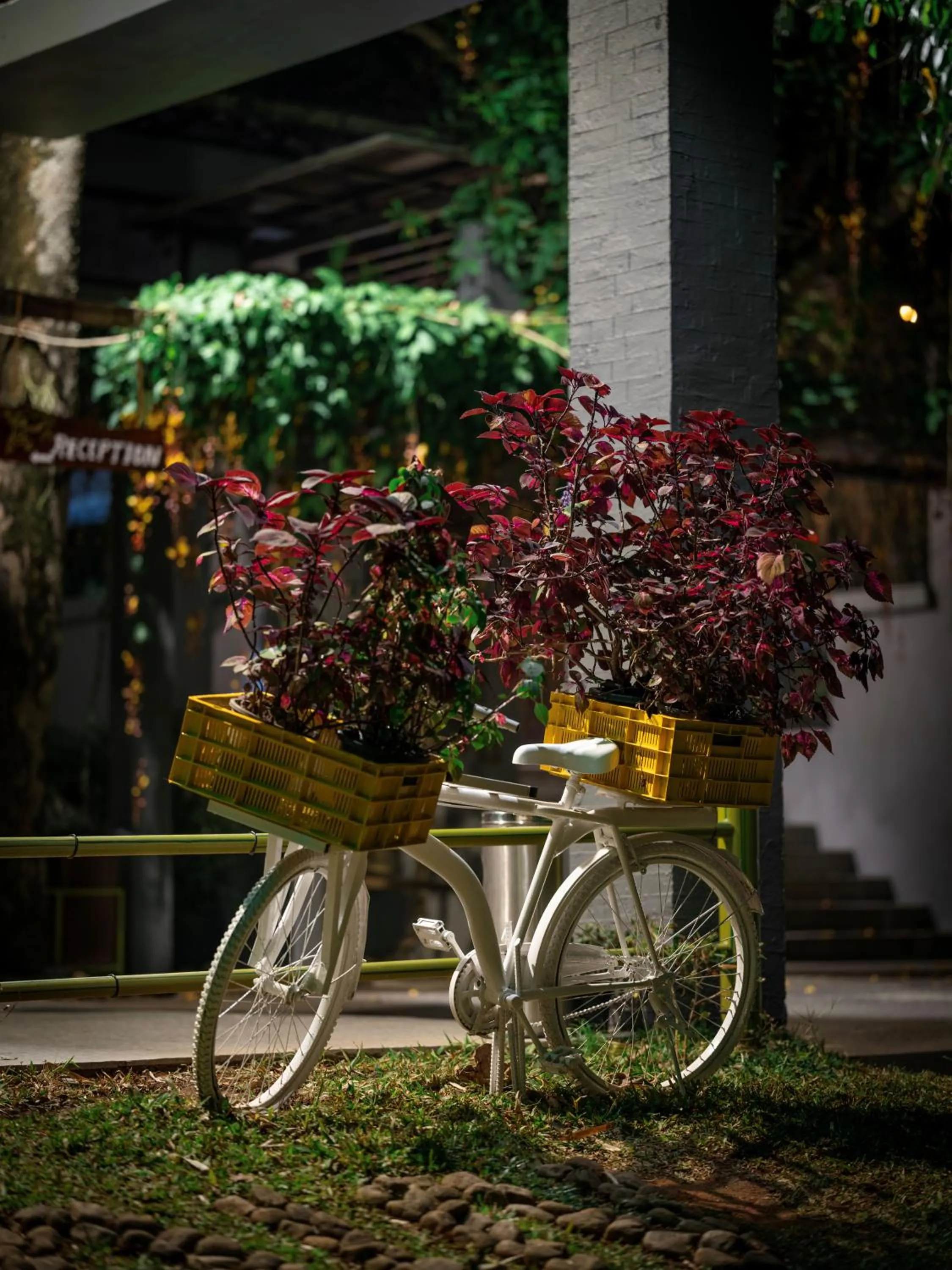 Garden view in The Mountain Courtyard Thekkady