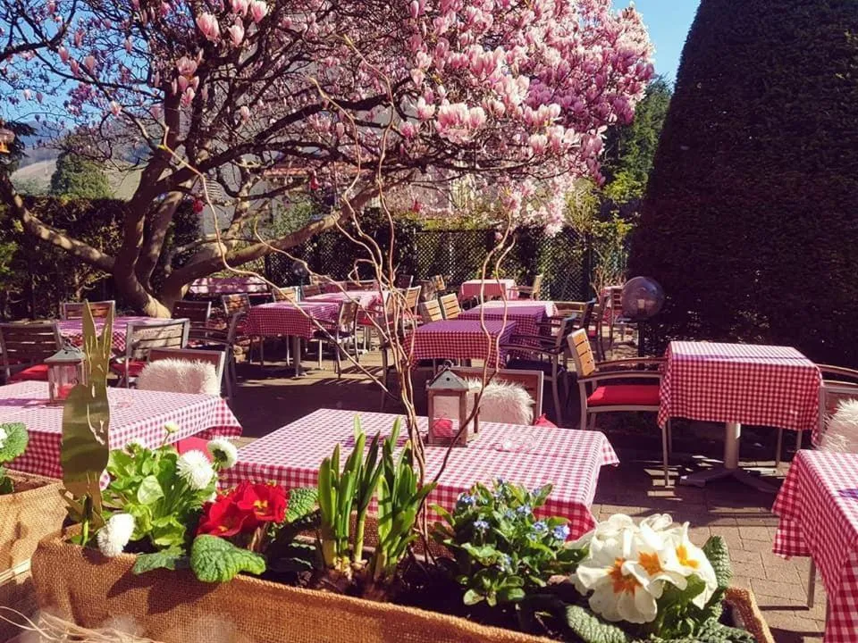 Garden in Hotel Restaurant Aux Sapins