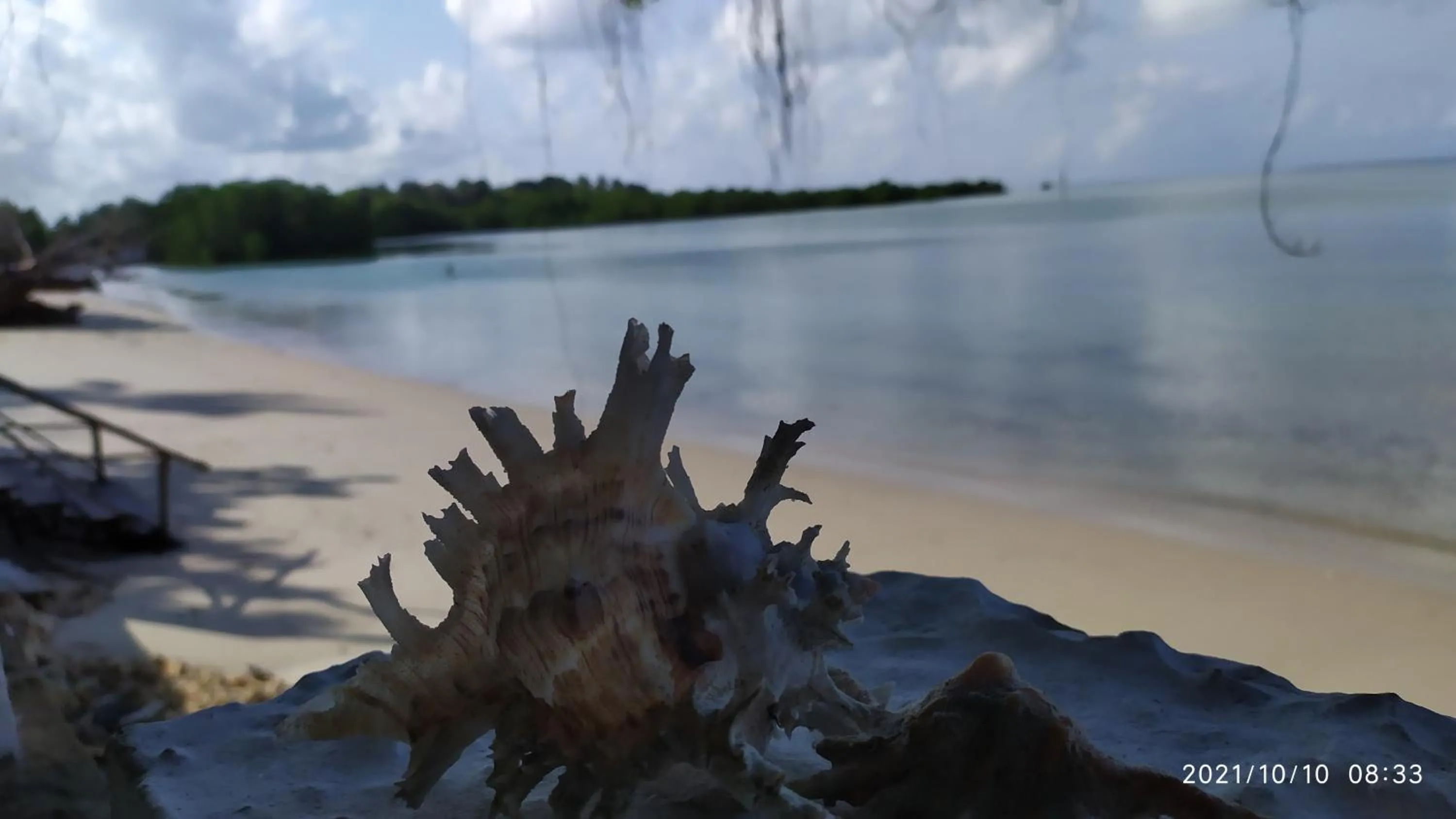 Beach in Menai Bay Beach Bungalows