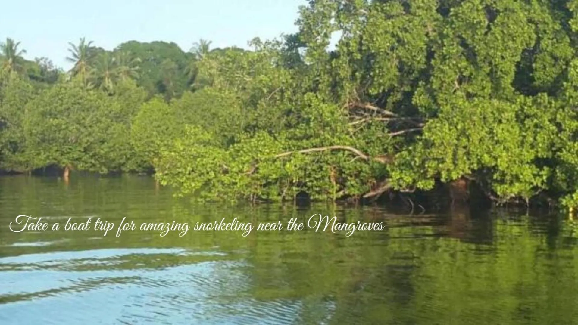 Nearby landmark in Menai Bay Beach Bungalows