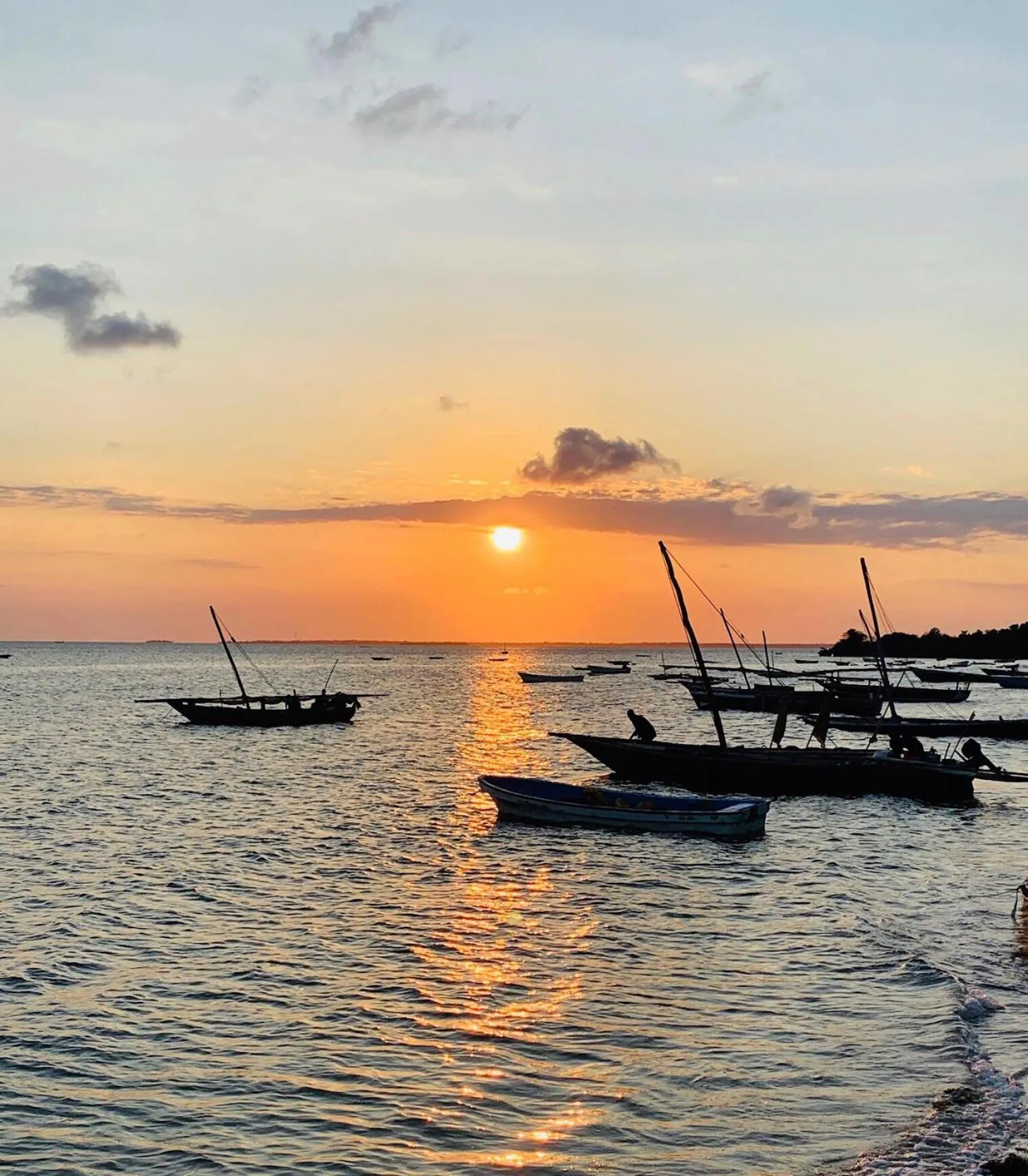 Natural landscape in Menai Bay Beach Bungalows