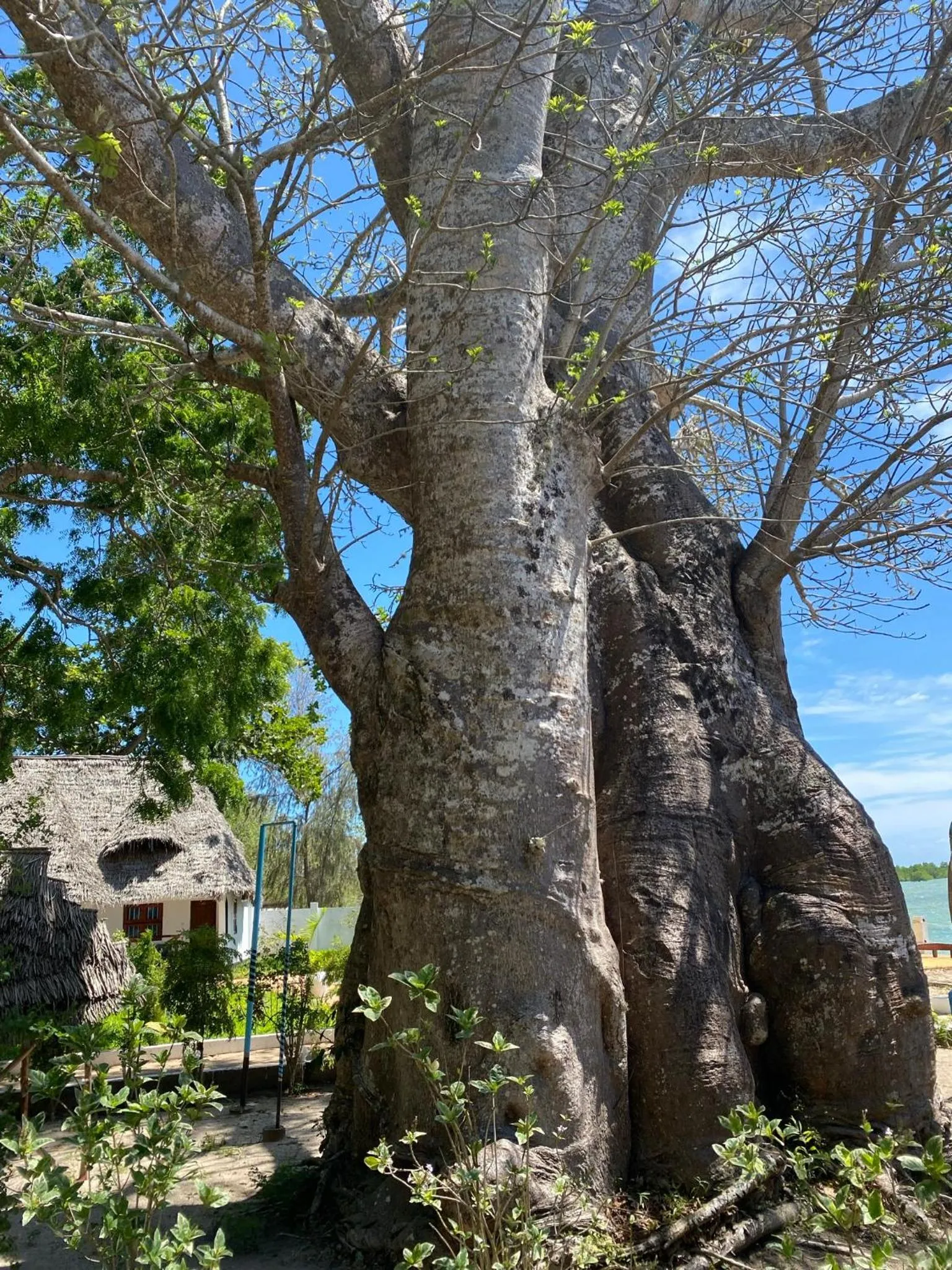 Menai Bay Beach Bungalows