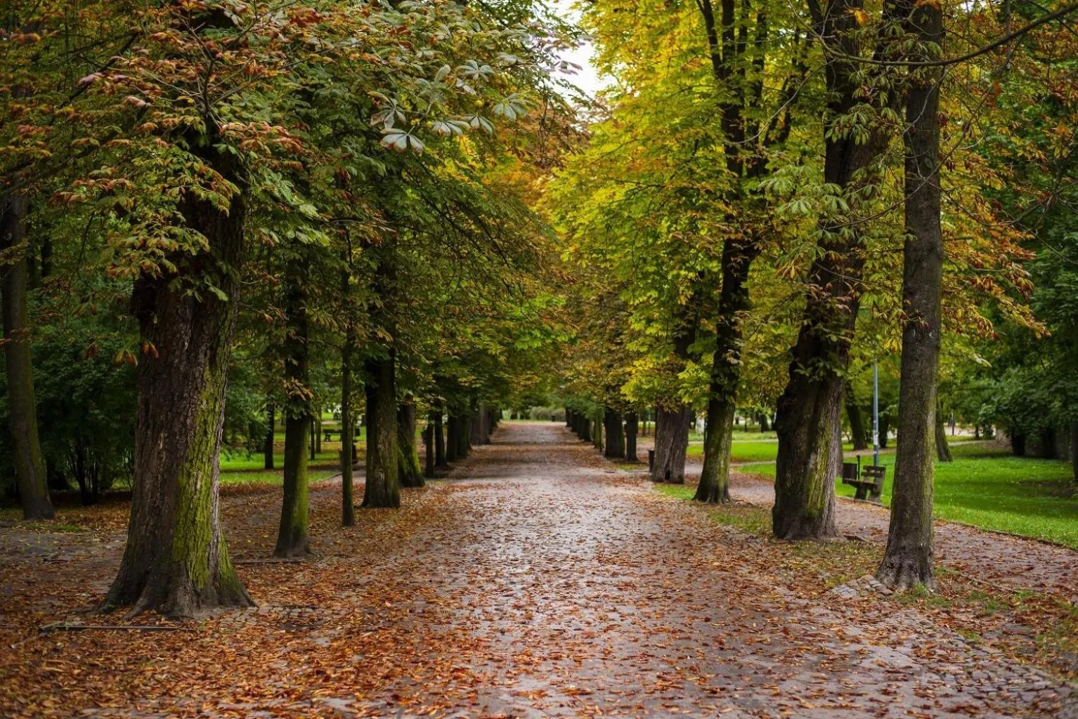 Spring in Hotel Dal Kielce