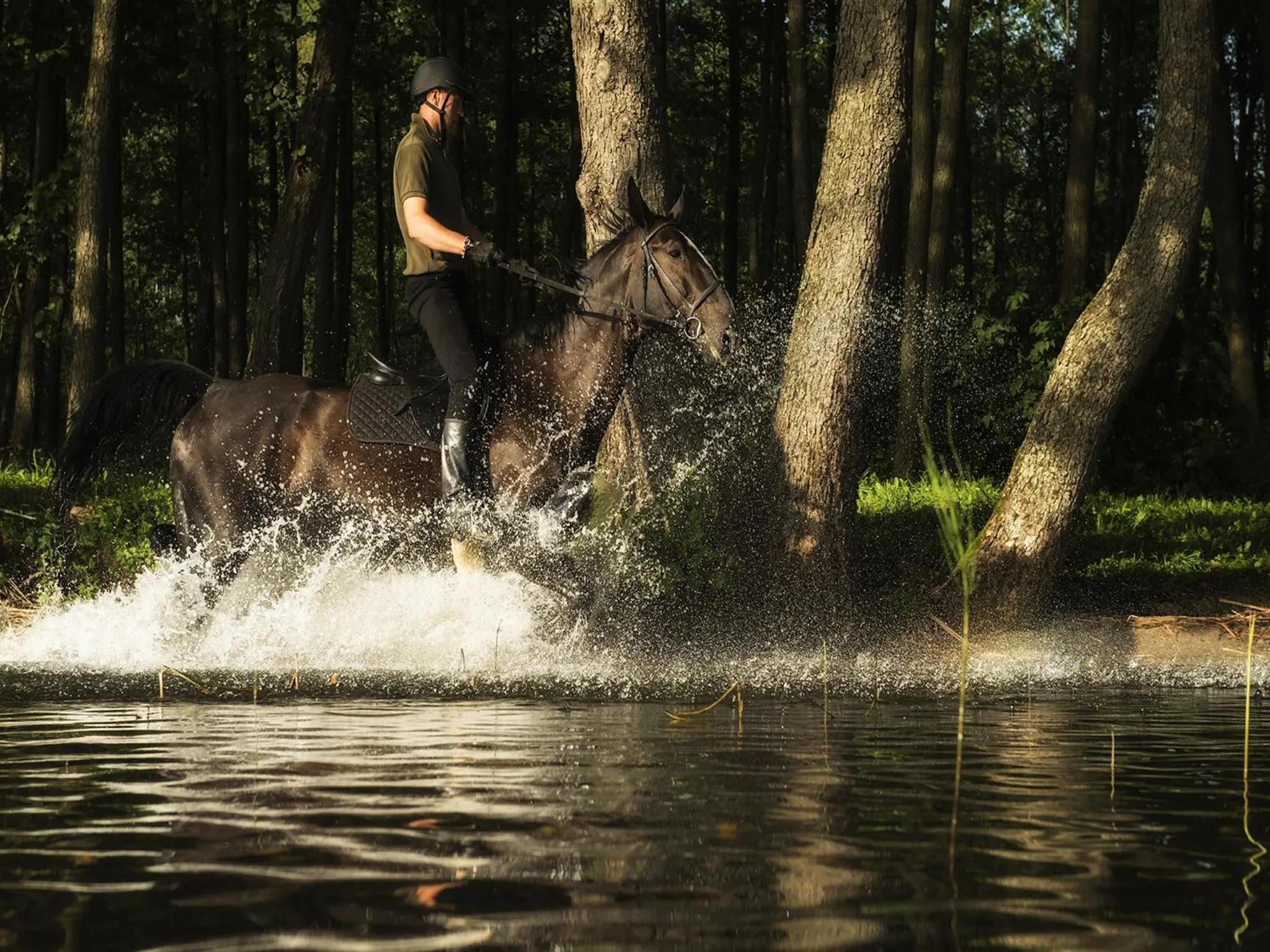 Horse-riding in Warmia Park