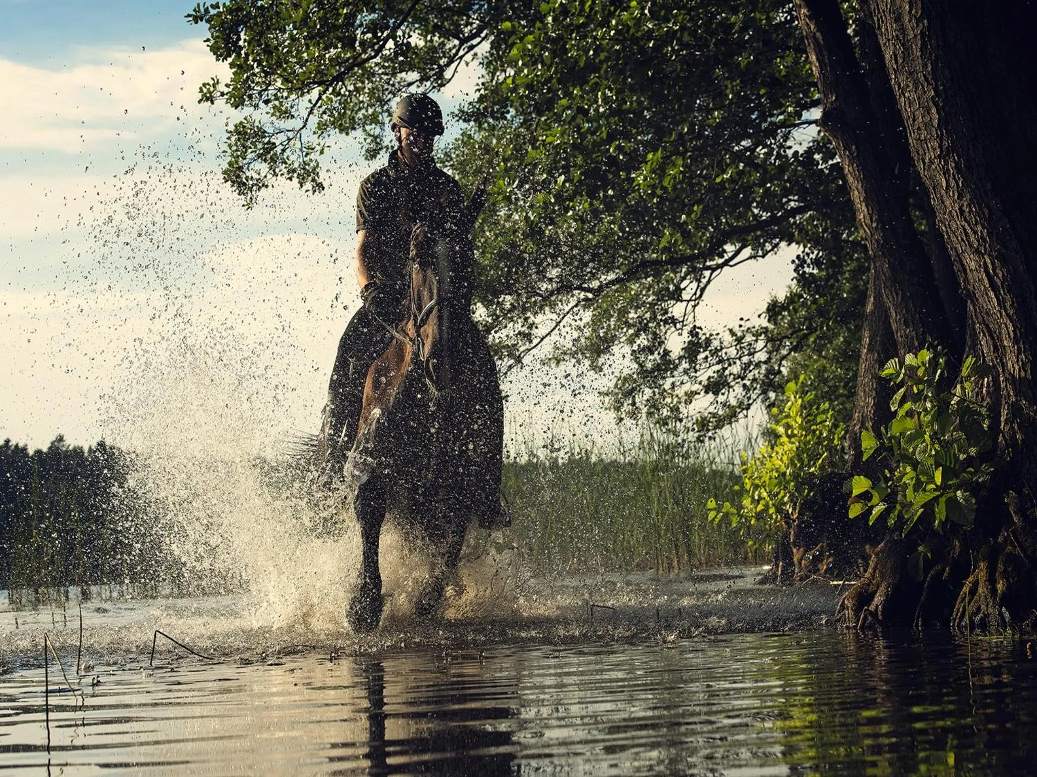 Horse-riding in Warmia Park
