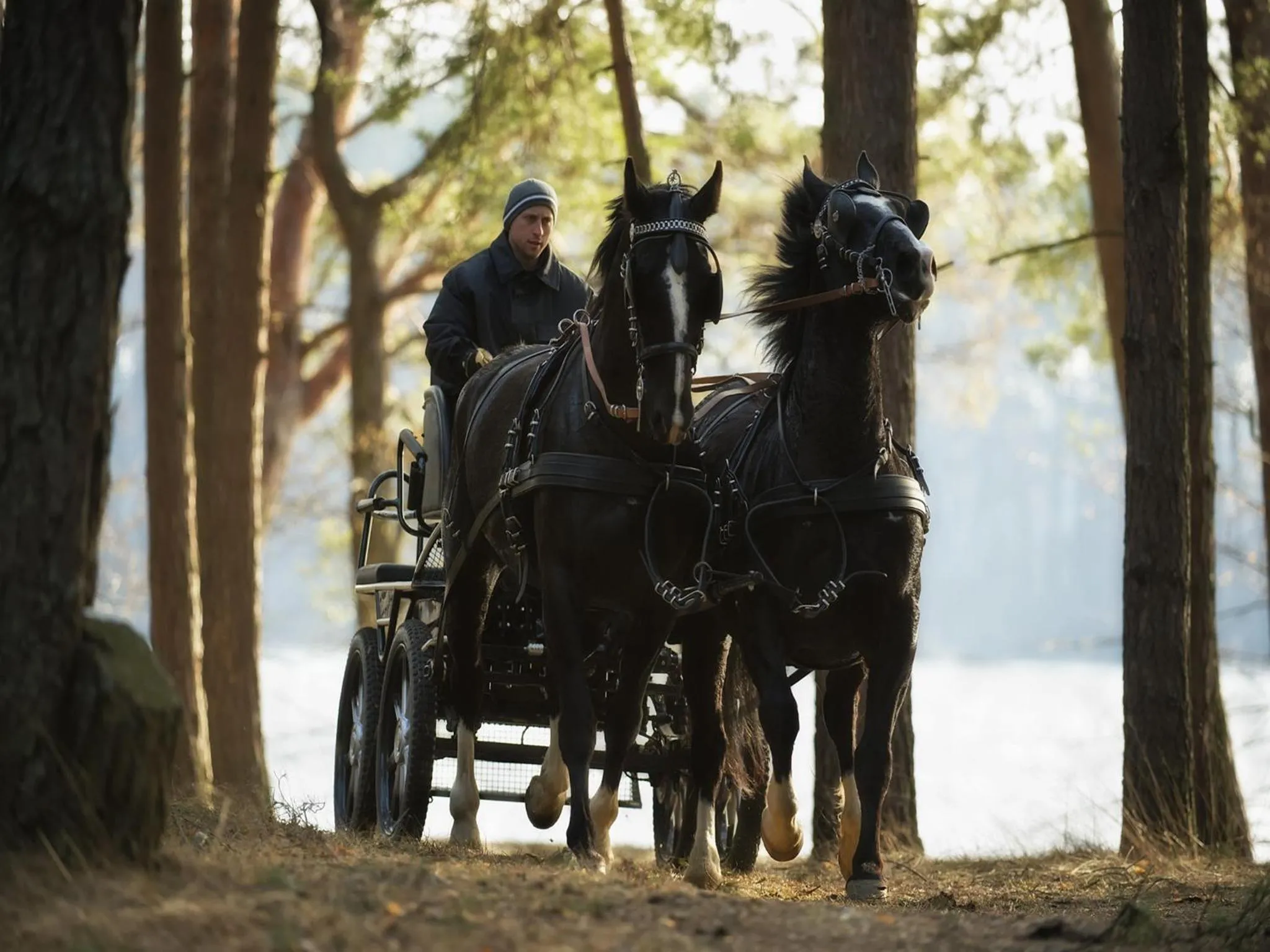 Horse-riding in Warmia Park