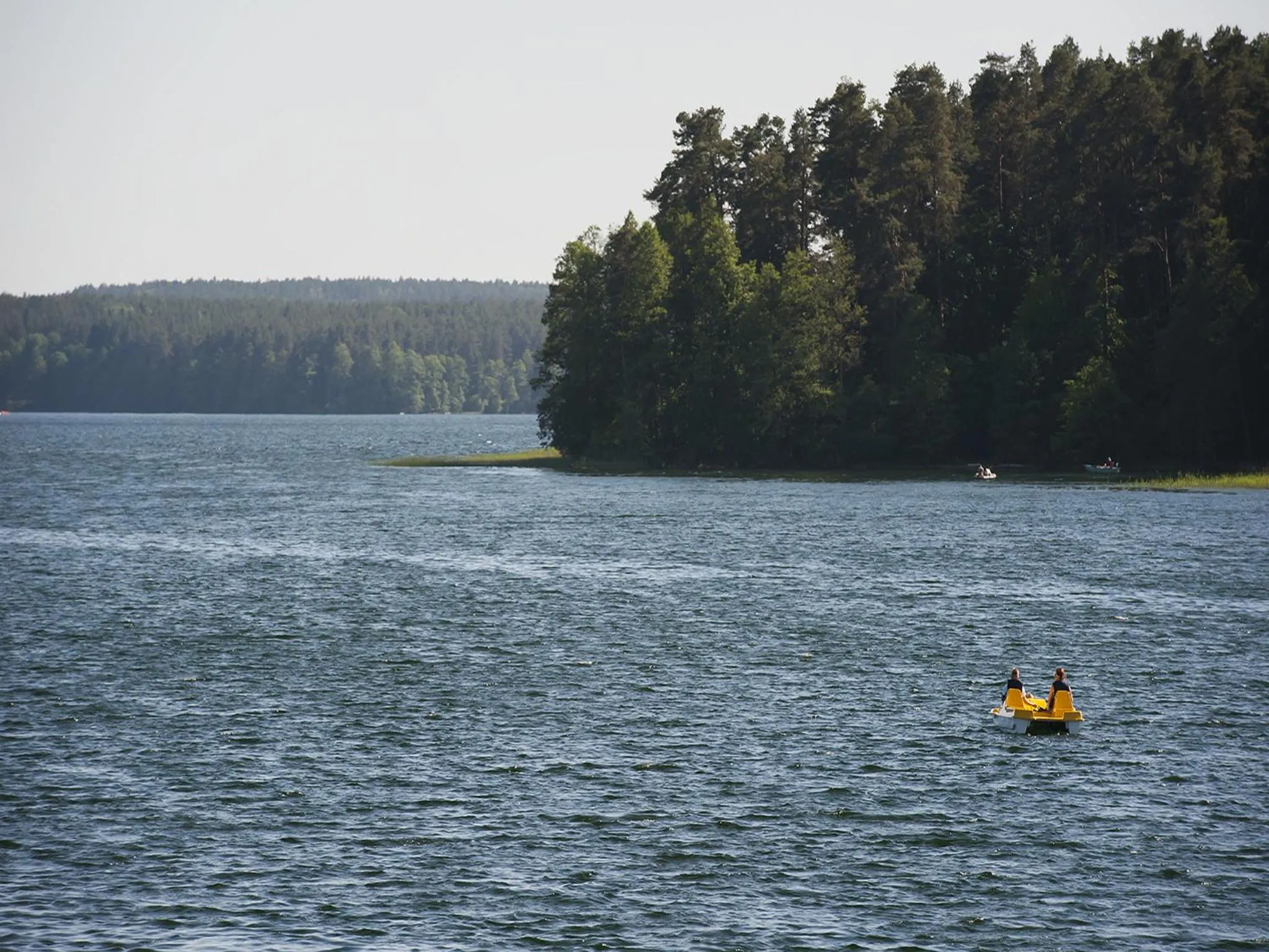 Natural landscape in Warmia Park