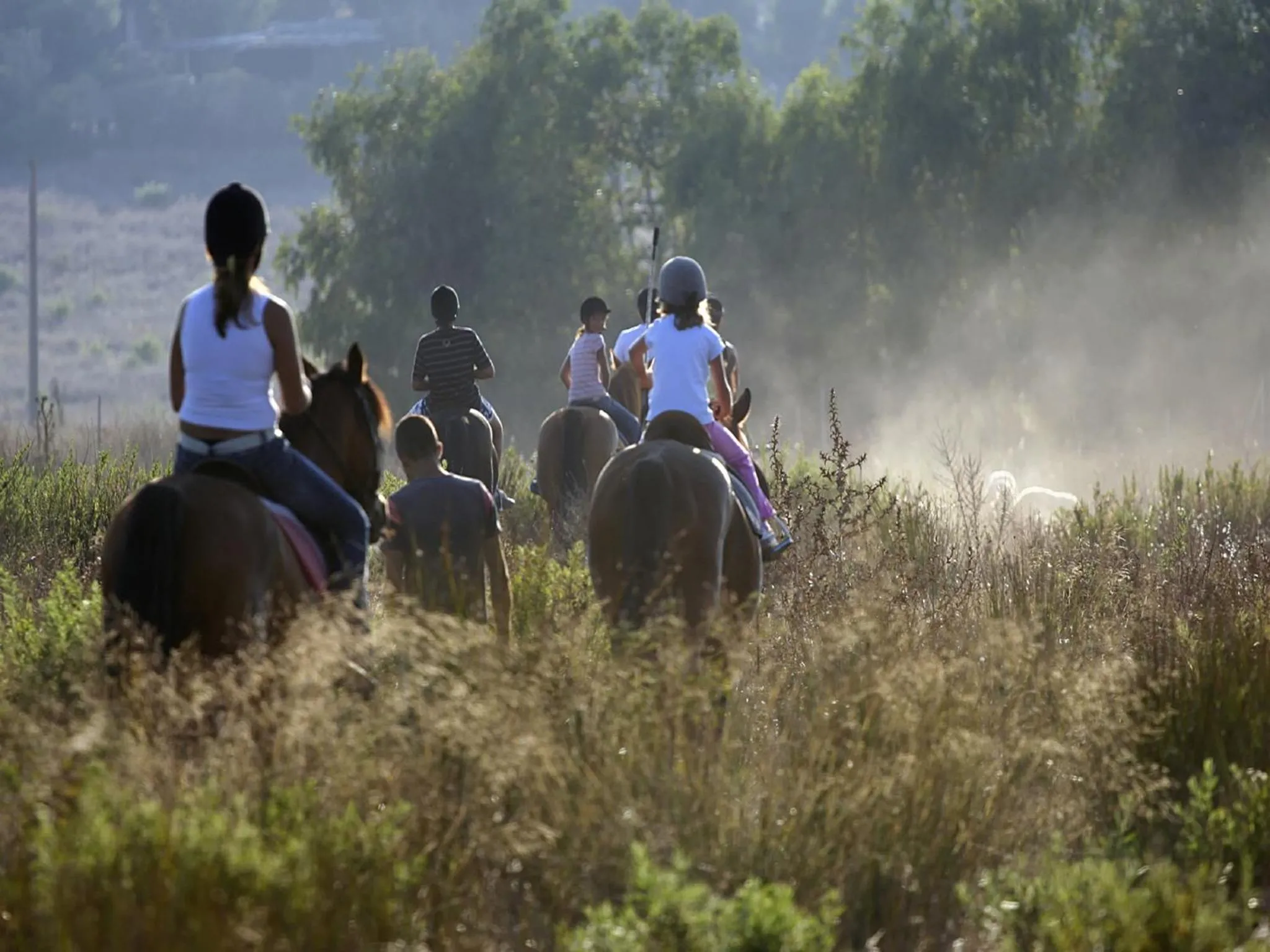 Horse-riding in Warmia Park