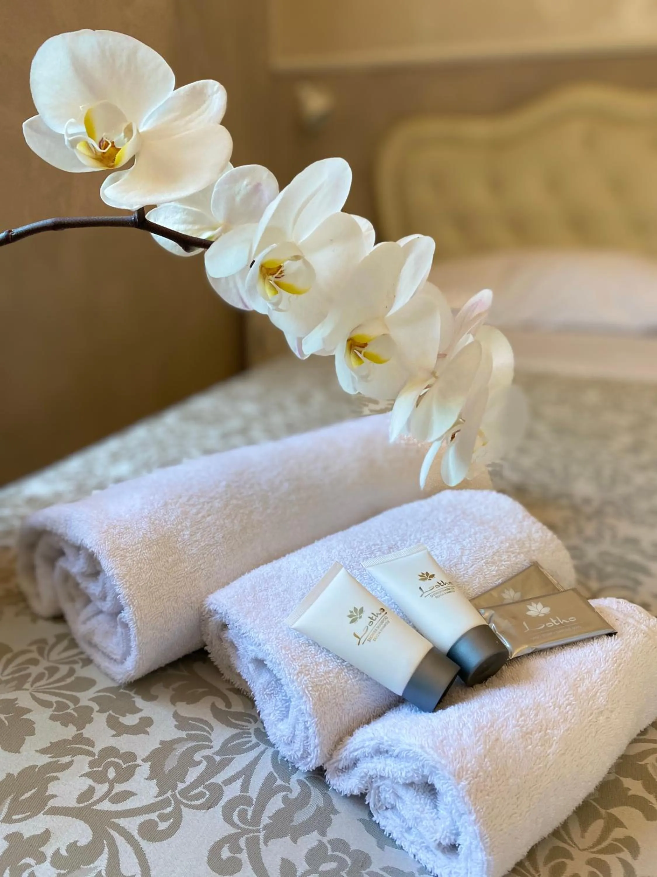 Domus Valadier B&B Guesthouse