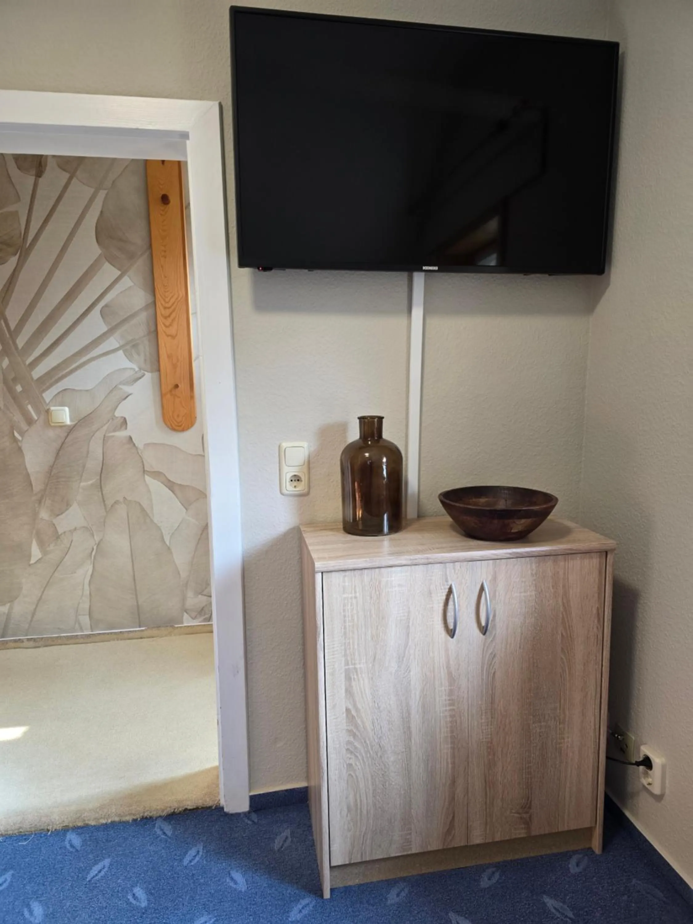 TV and multimedia in Hotel Zur Luppbode