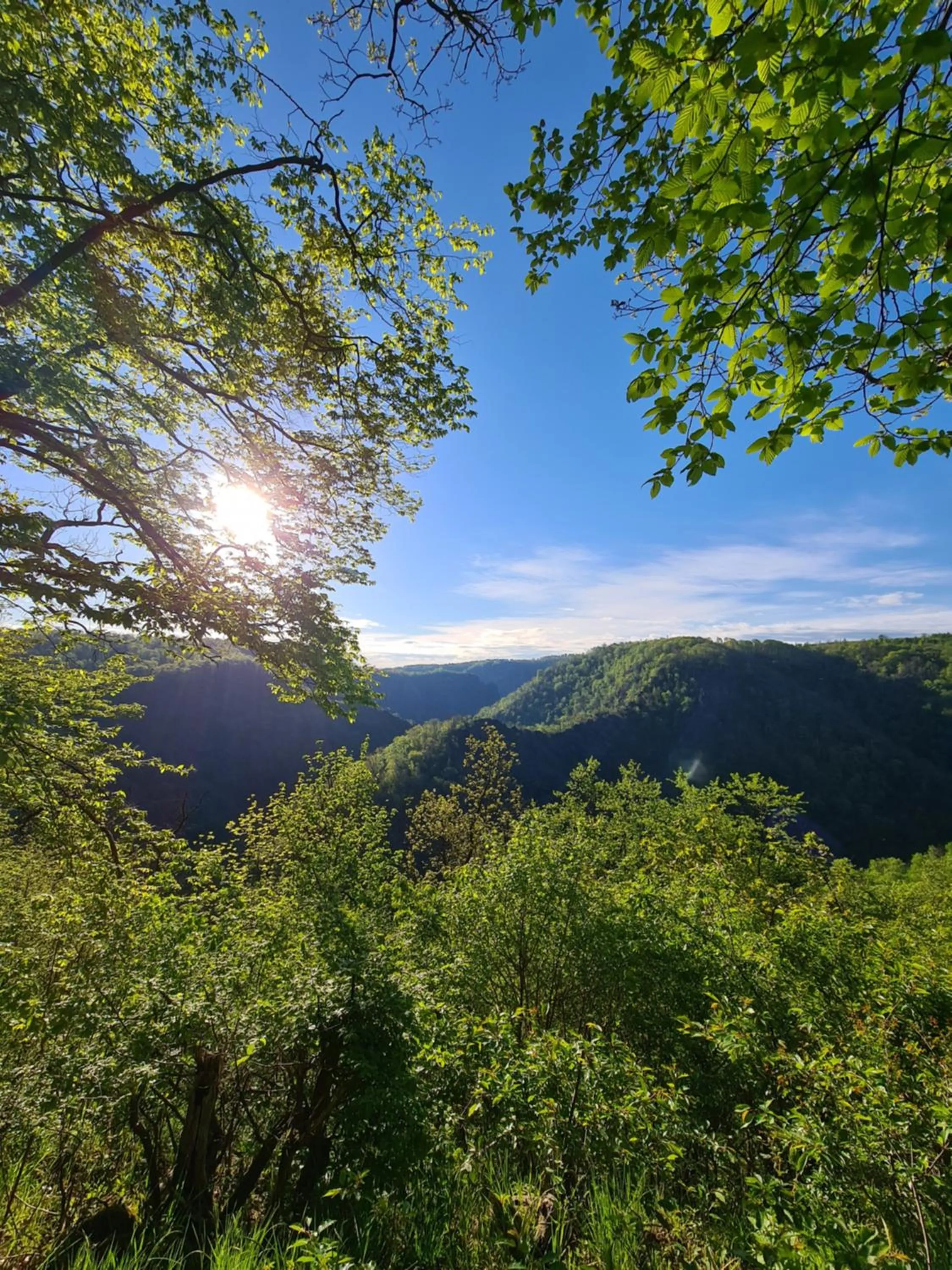 Natural landscape in Hotel Zur Luppbode