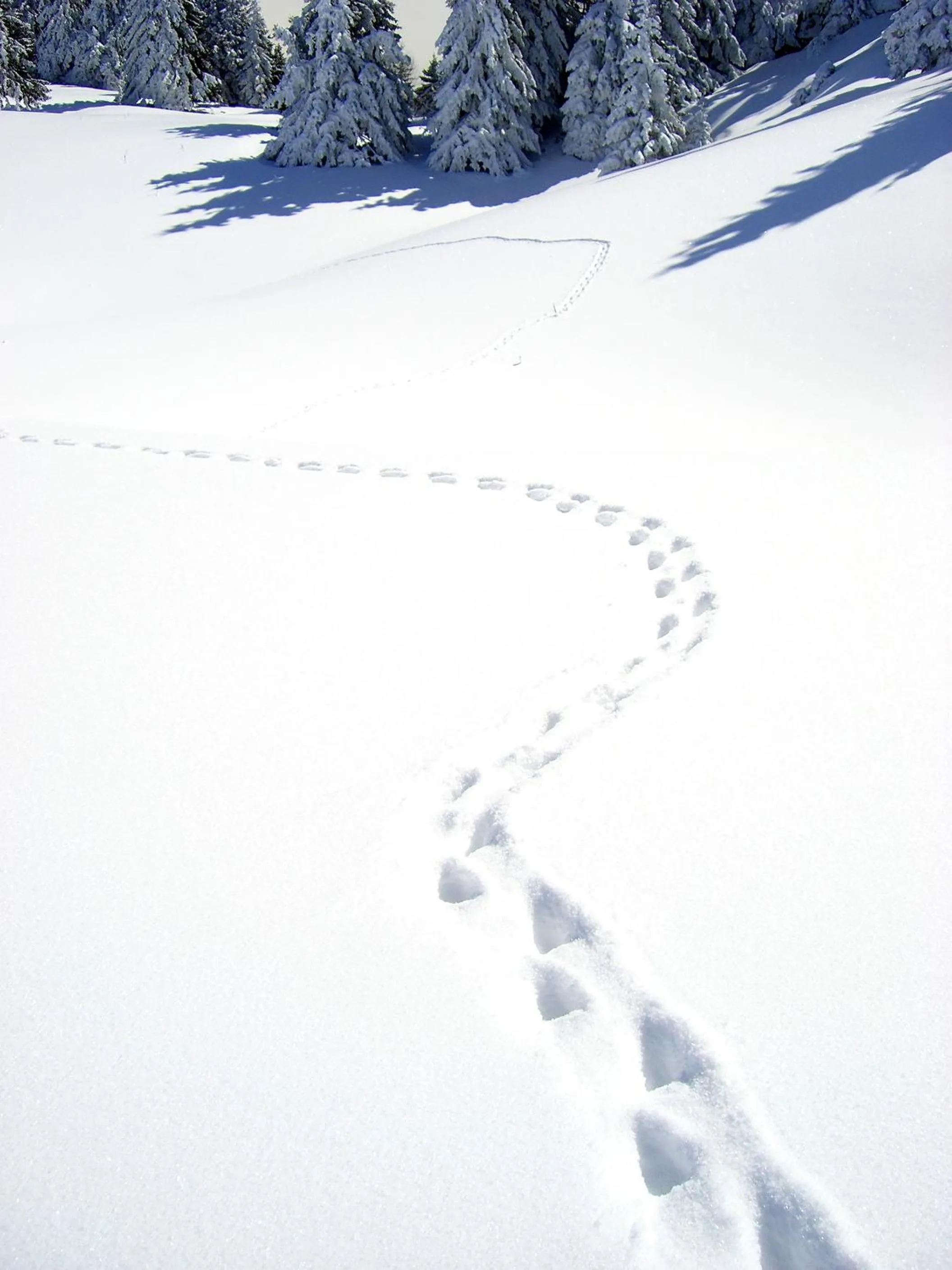 Area and facilities in La Croix de Savoie & Spa