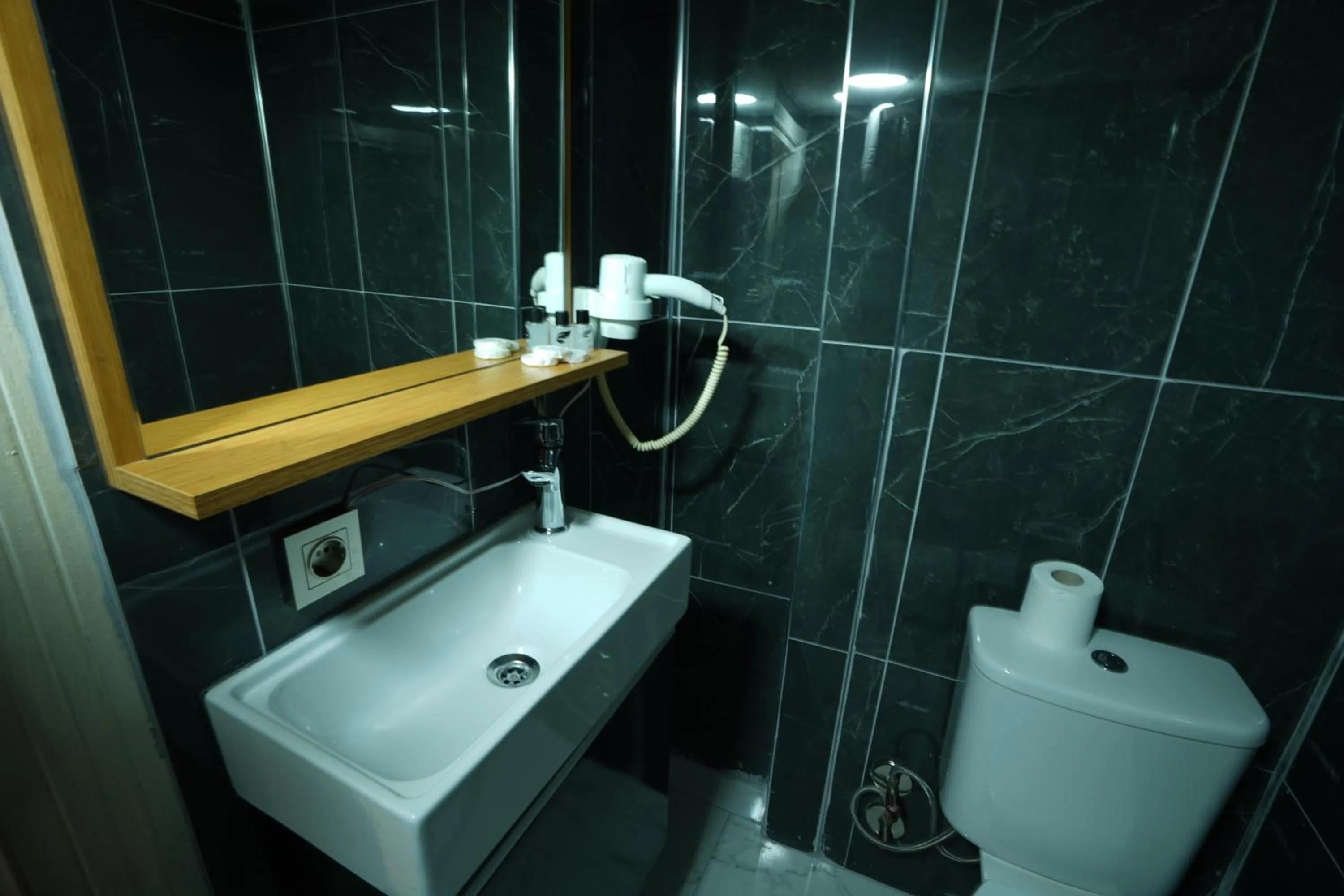 Shower in İSTA Golden Palace Hotel