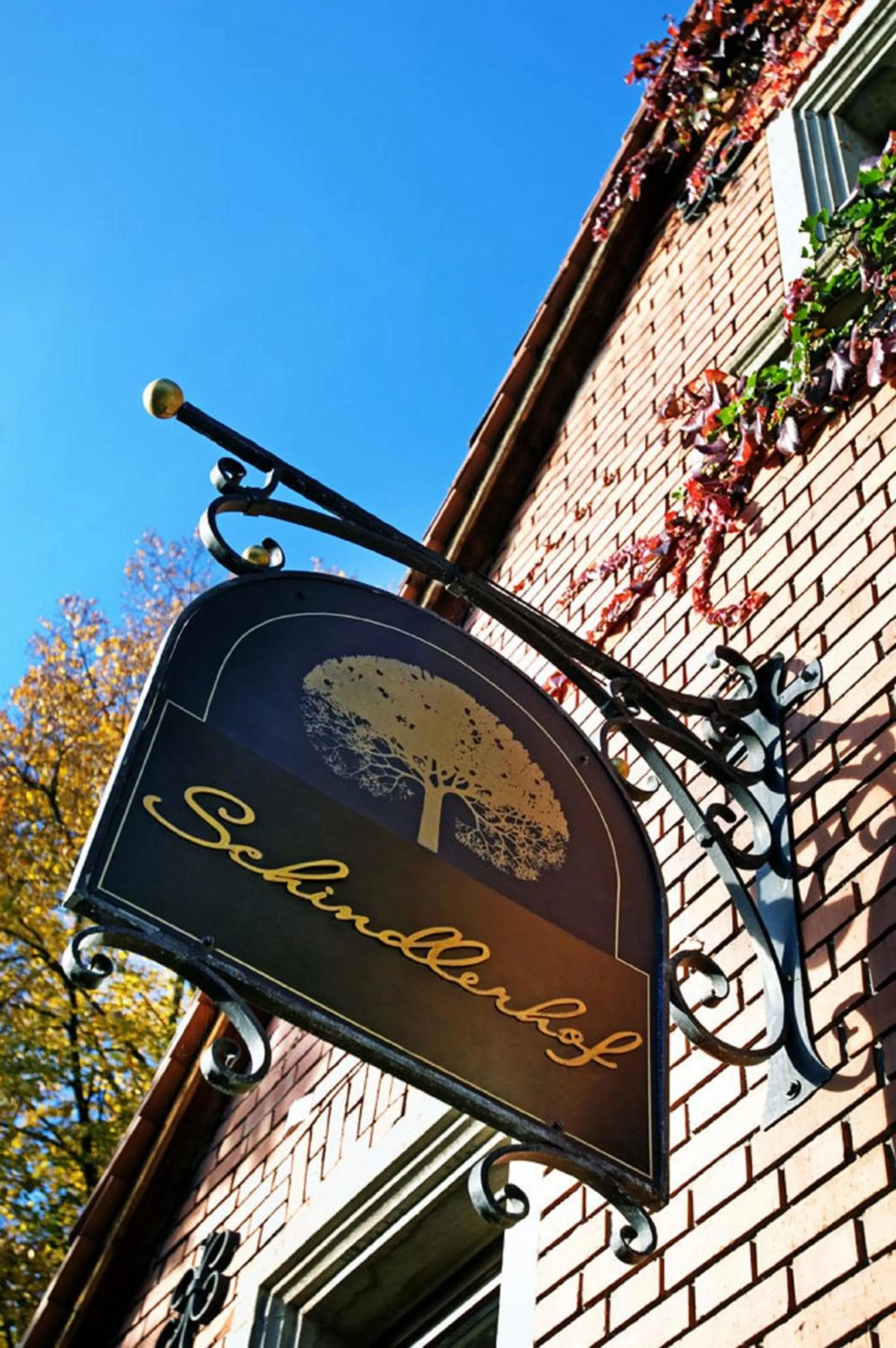 Property building in Hotel Schindlerhof