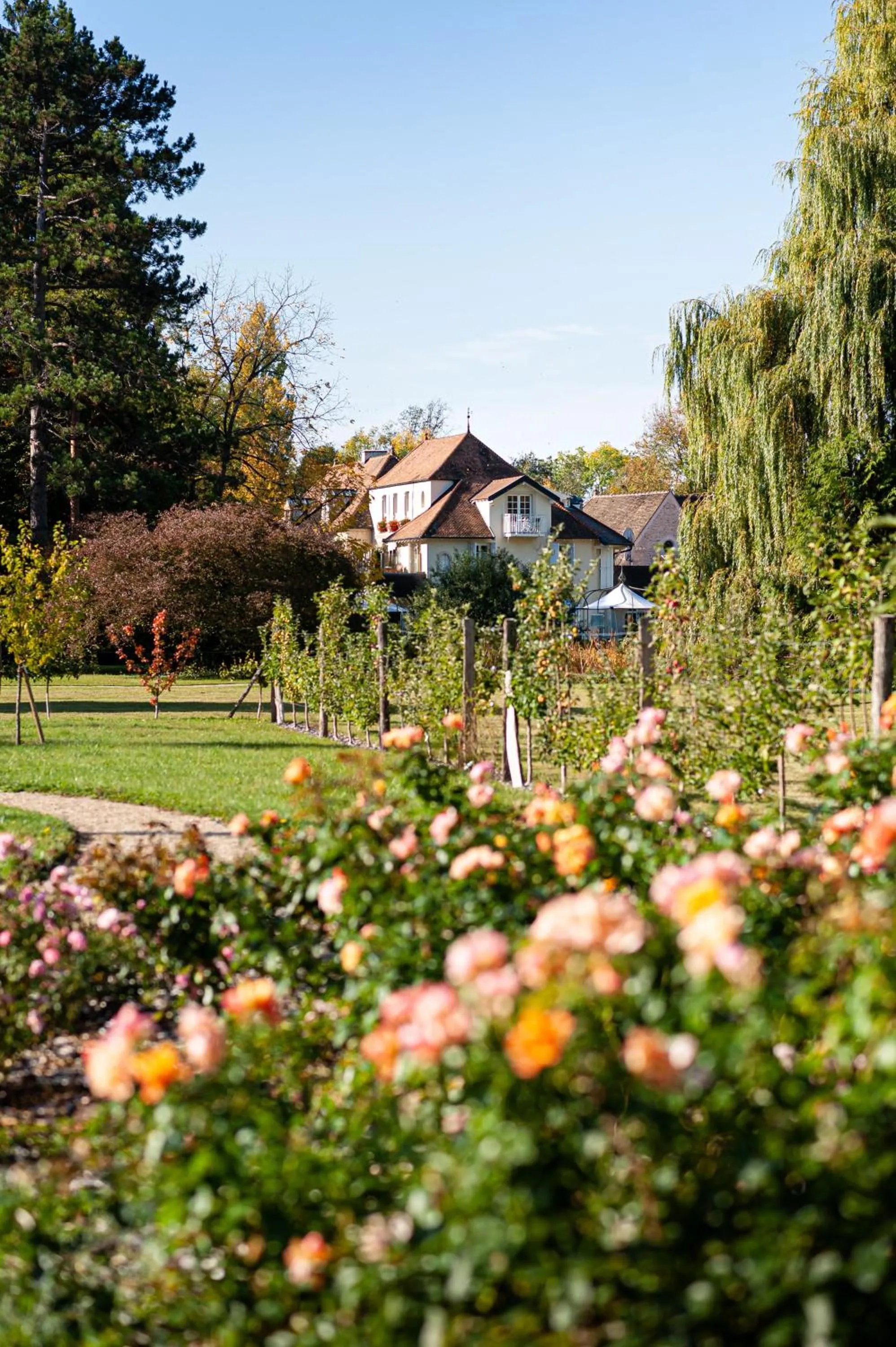 Garden in Hostellerie De Levernois