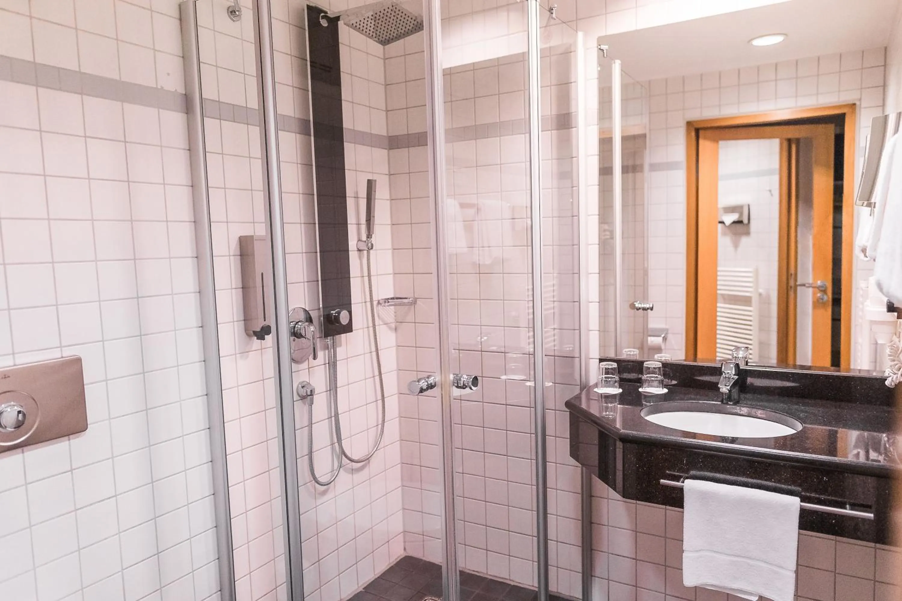 Shower in PLAZA INN Stuttgart-Ditzingen