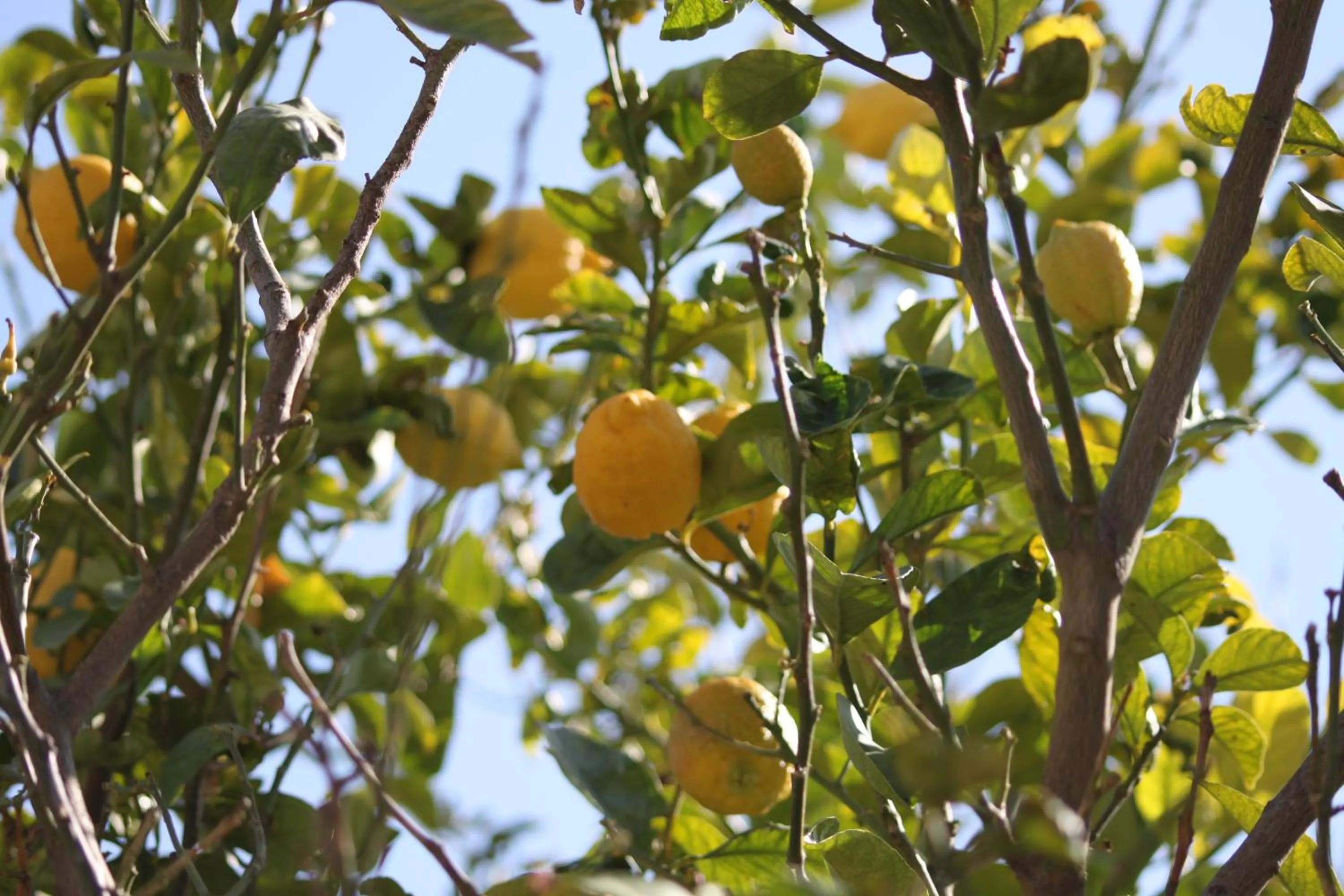 Property building in Cocopalm Boutique Hotel Alaçatı