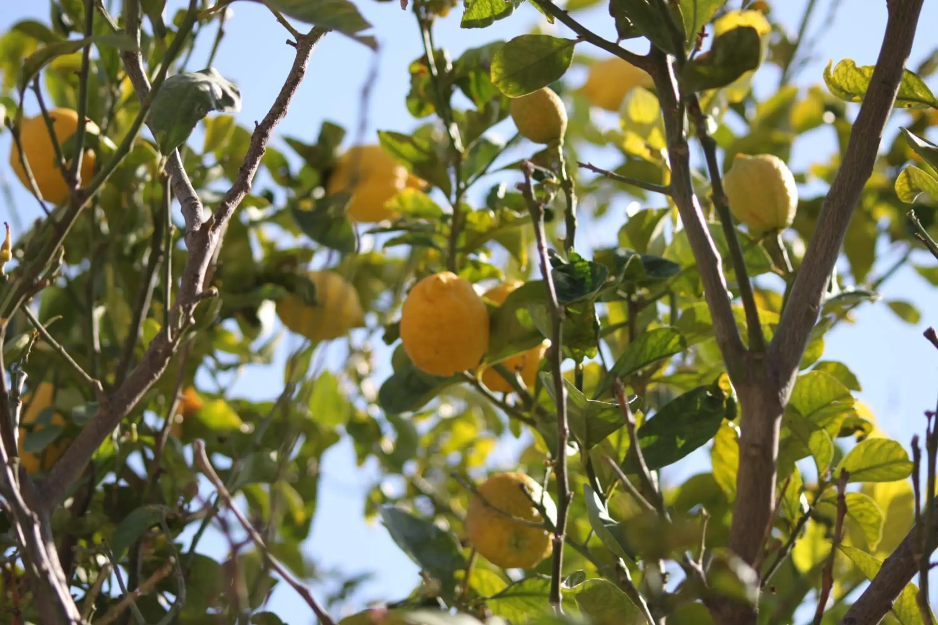 Property building in Cocopalm Boutique Hotel Alaçatı Property building in Cocopalm Boutique Hotel Alaçatı