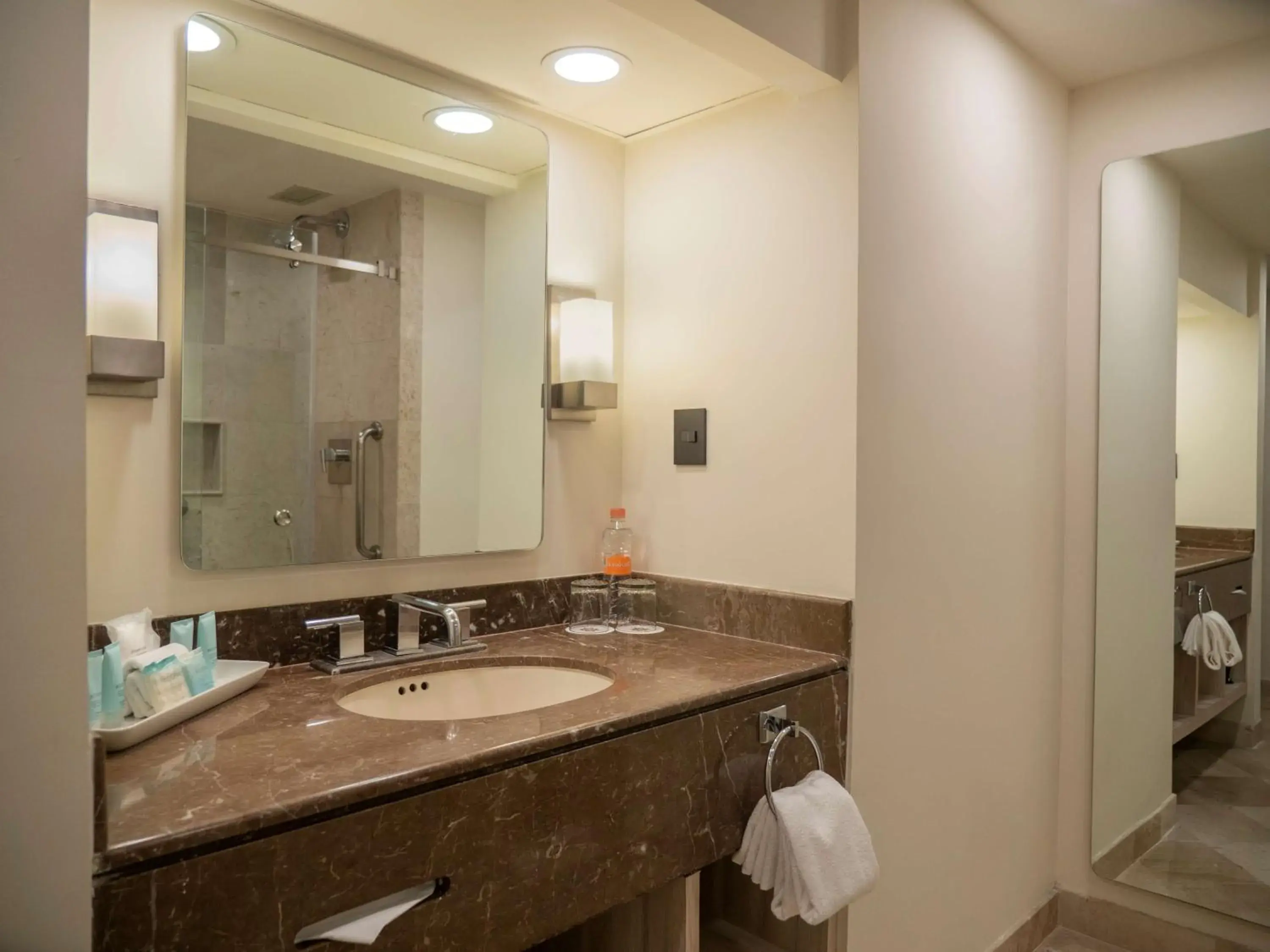 Bathroom in MS Milenium Monterrey Curio Collection by Hilton Bathroom in MS Milenium Monterrey Curio Collection by Hilton