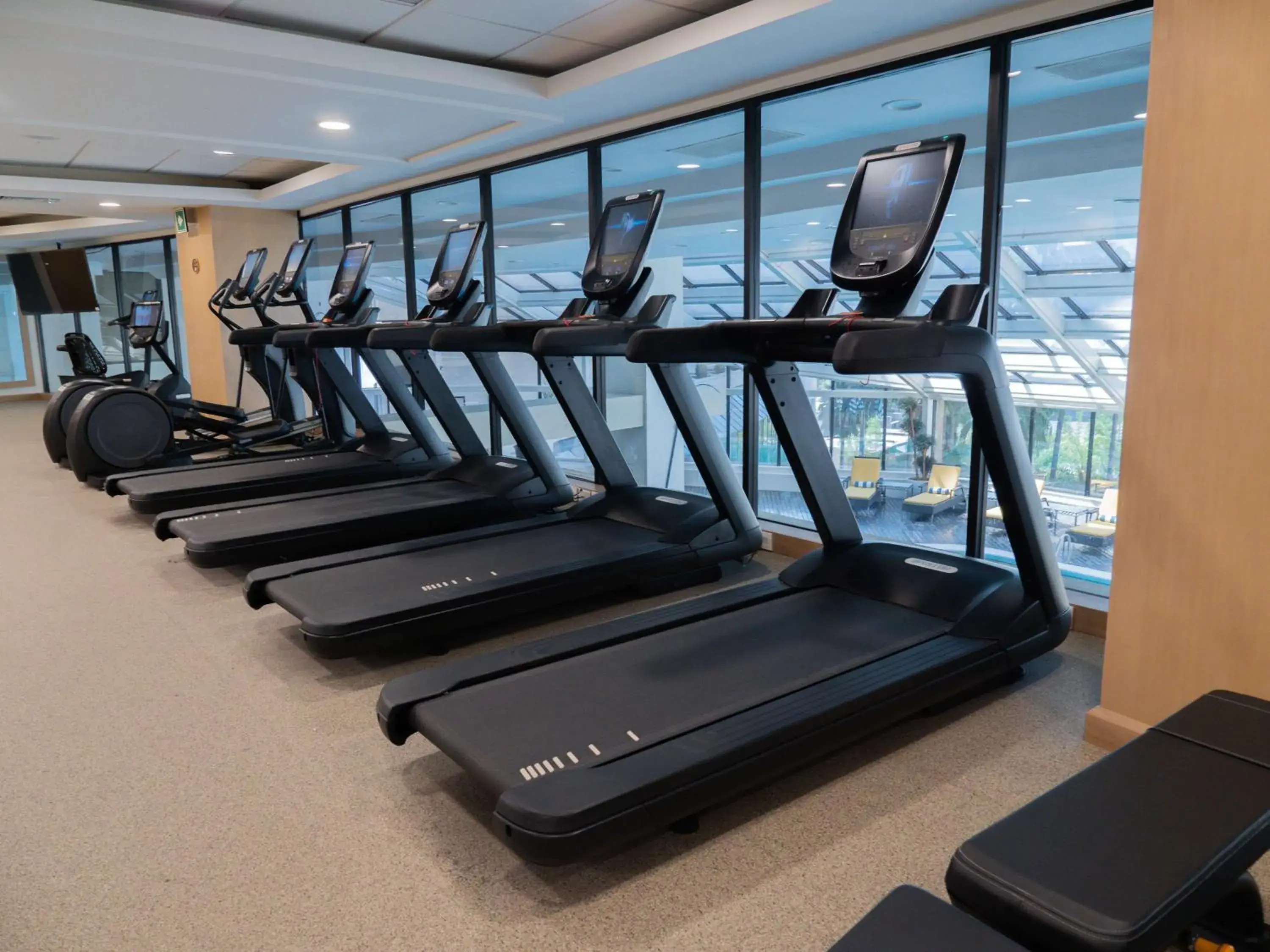 Fitness centre/facilities in MS Milenium Monterrey Curio Collection by Hilton Fitness centre/facilities in MS Milenium Monterrey Curio Collection by Hilton