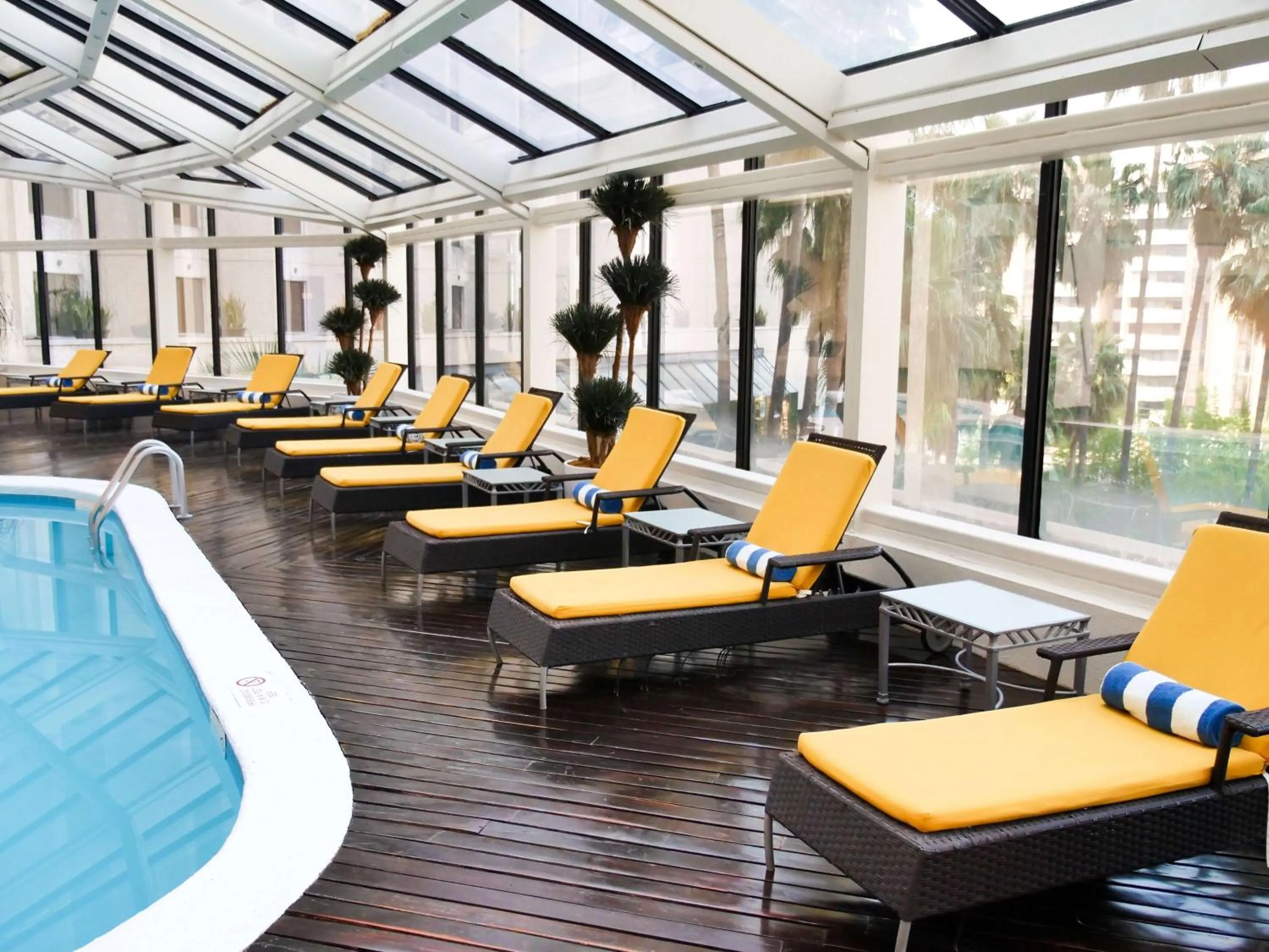 Pool view in MS Milenium Monterrey Curio Collection by Hilton