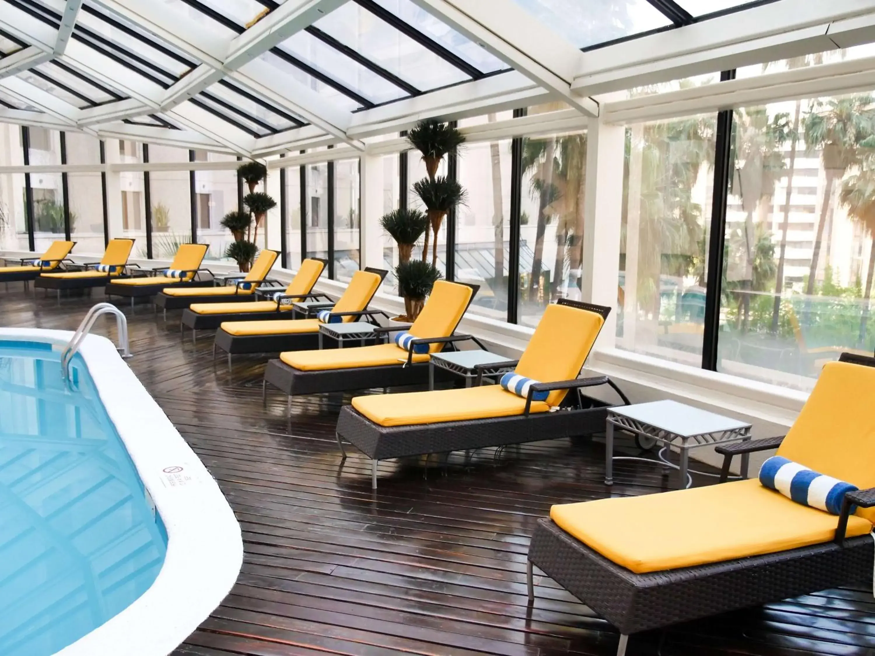 Pool view in MS Milenium Monterrey Curio Collection by Hilton Pool view in MS Milenium Monterrey Curio Collection by Hilton