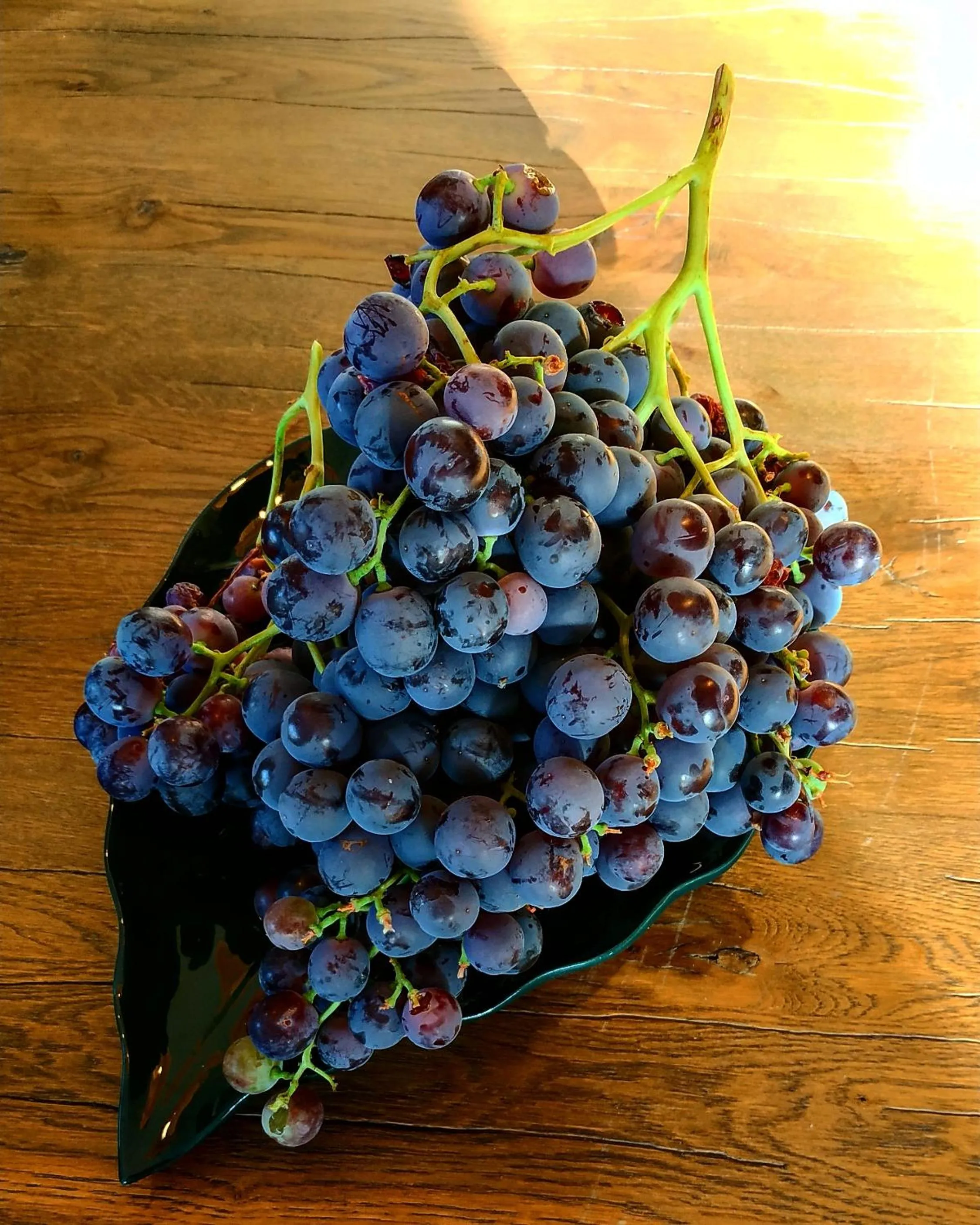 Food in Villa Ignacia B&B - Naturaleza entre Ronda & Setenil