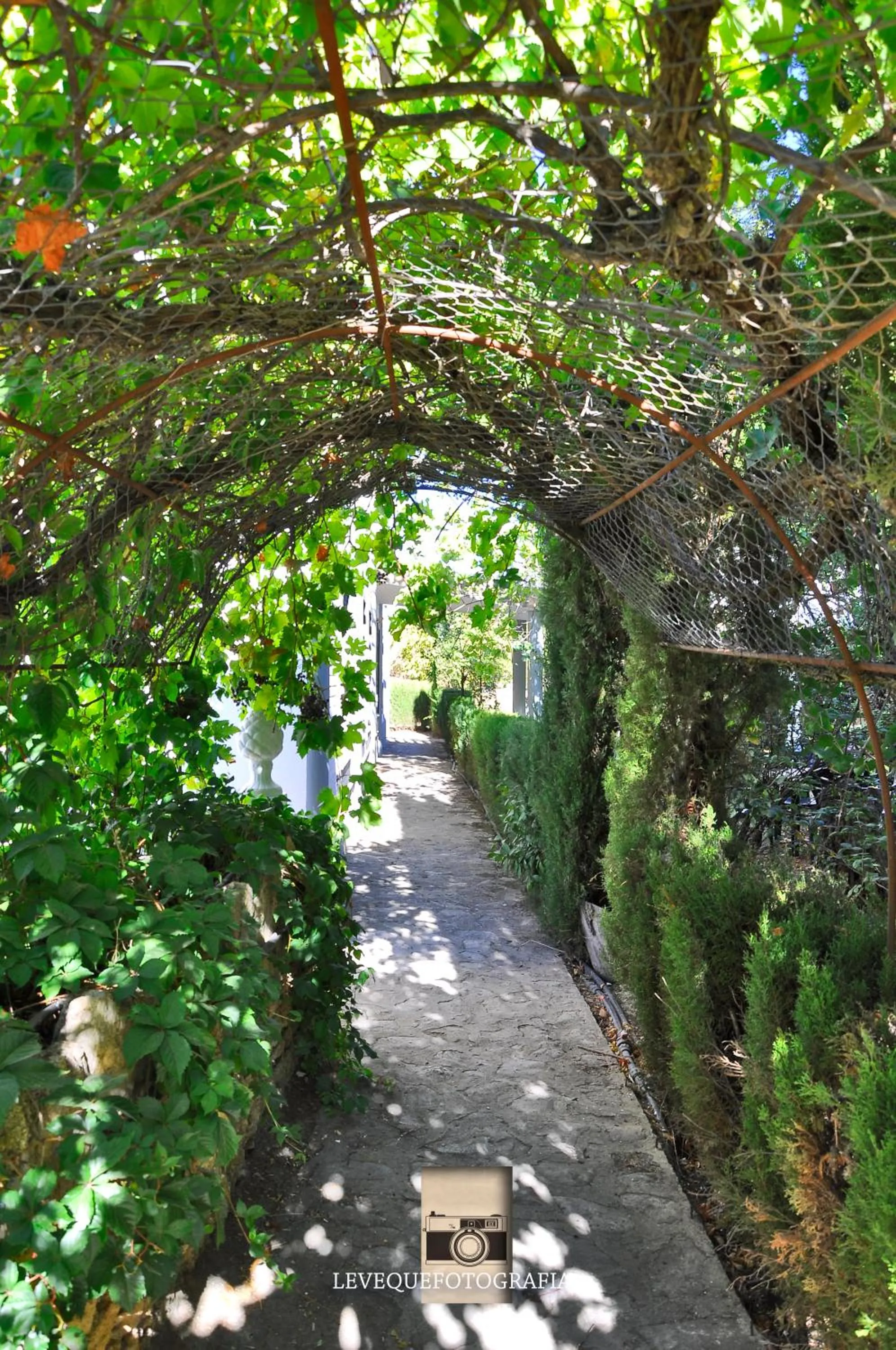 Garden in Villa Ignacia B&B - Naturaleza entre Ronda & Setenil